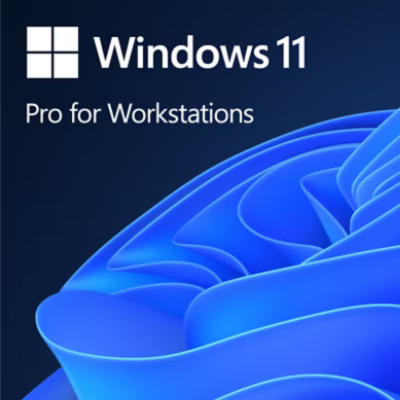 Windows-11-ProForWorkstations