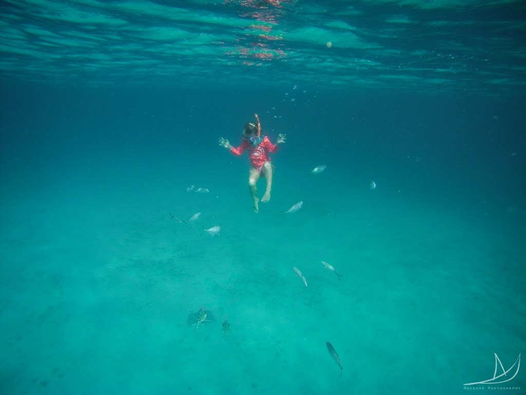 Ocean Etiquette