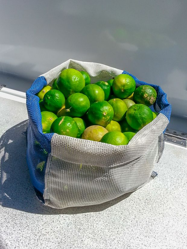 Fresh food onboard
