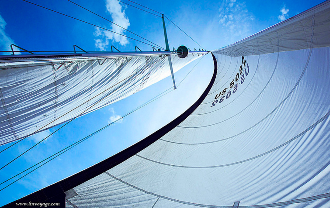 top reasons to go sailing