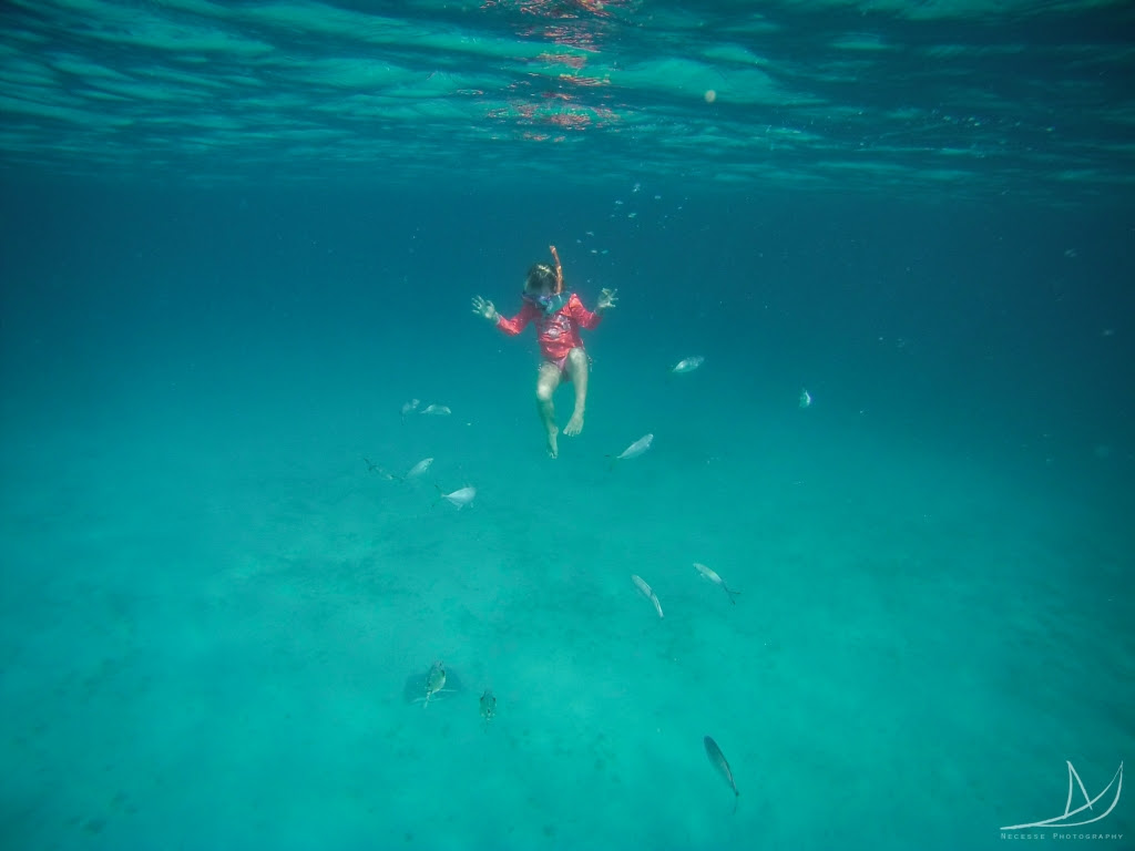 Ocean Etiquette