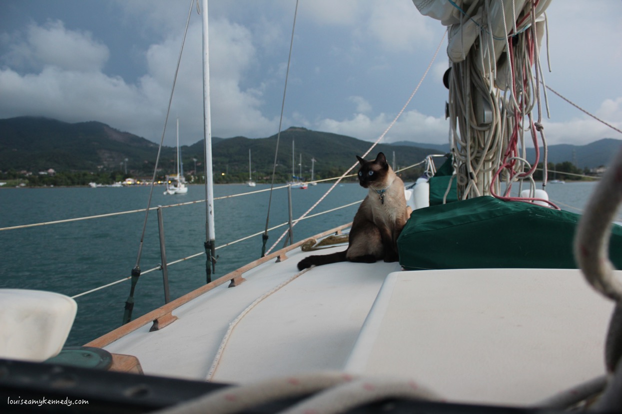 how to help a seasick sailor