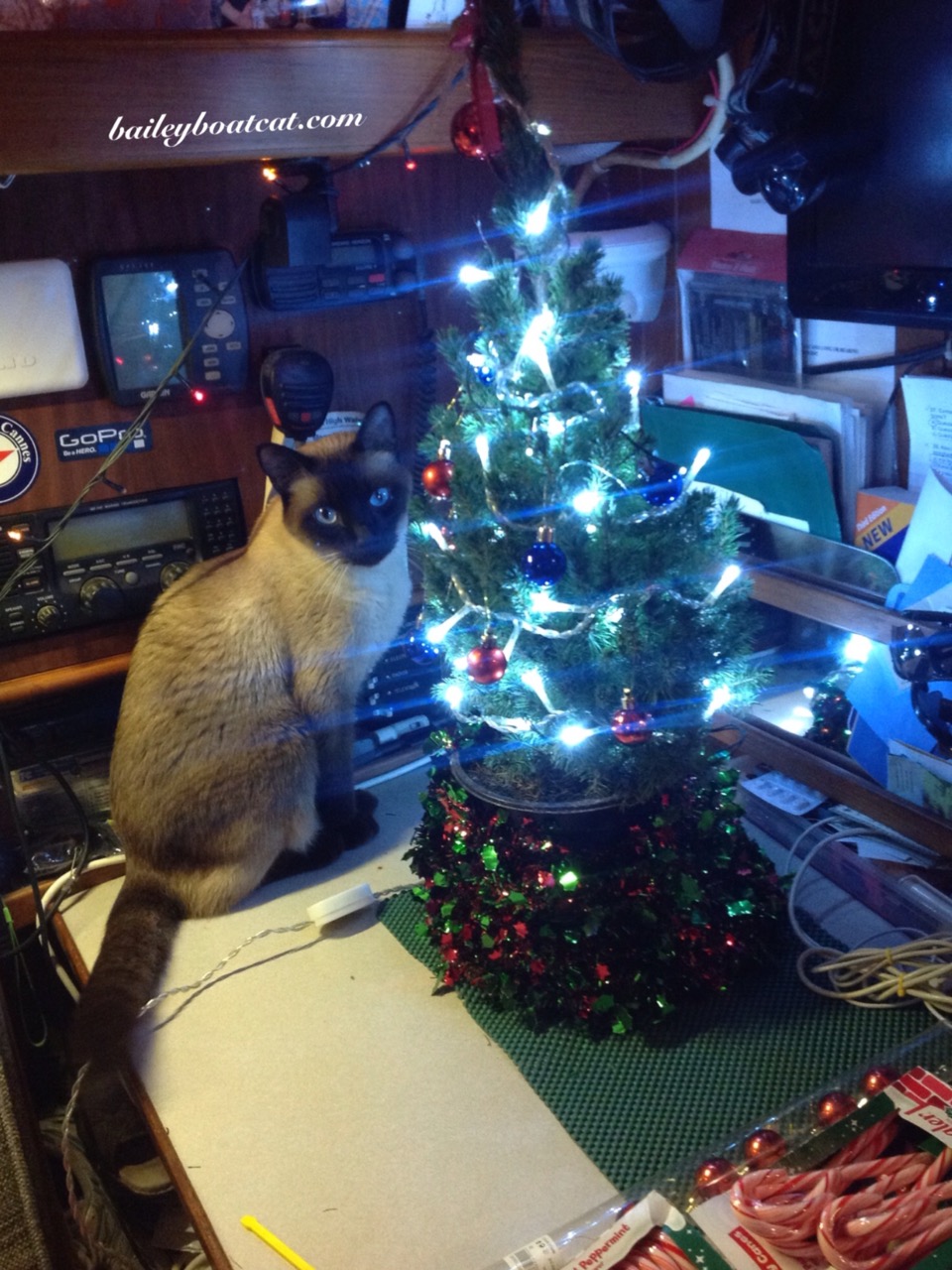 spending Christmas on a boat