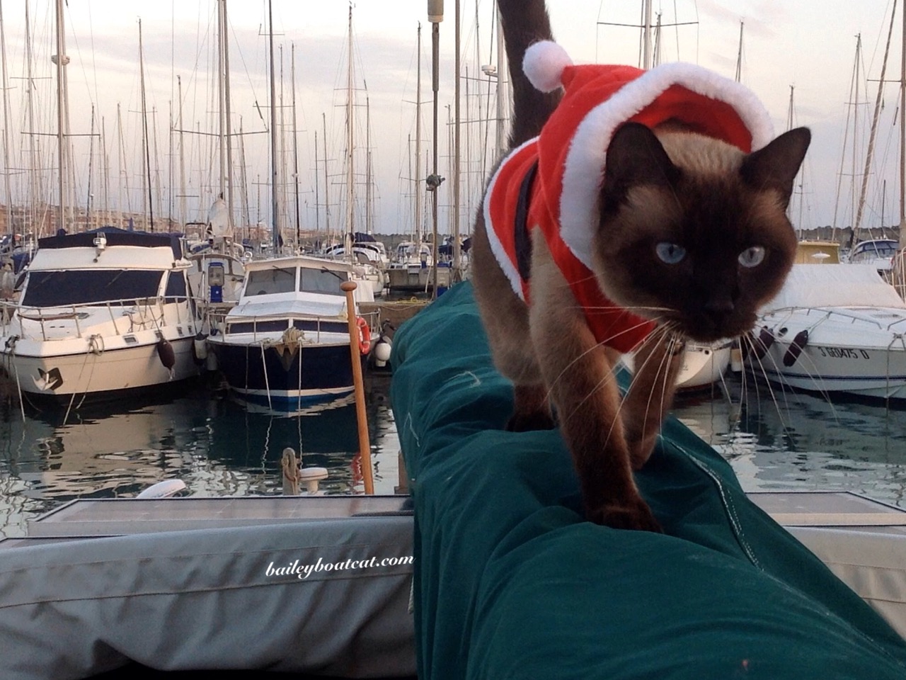 spending christmas on a boat