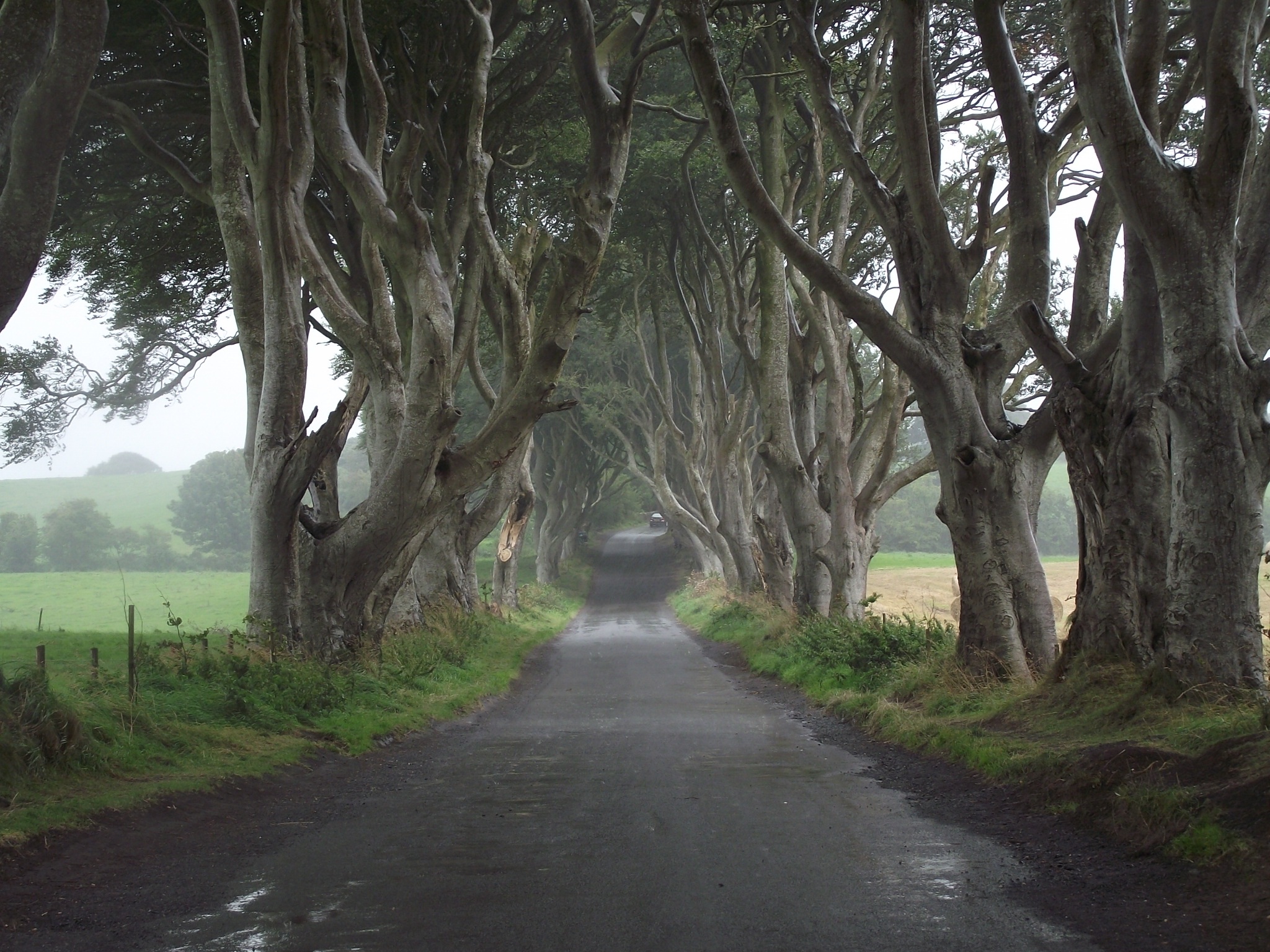 The Dark Hedges served as the setting for the Kingsroad in GoT. Game of Thrones Sailing destinations Croatia