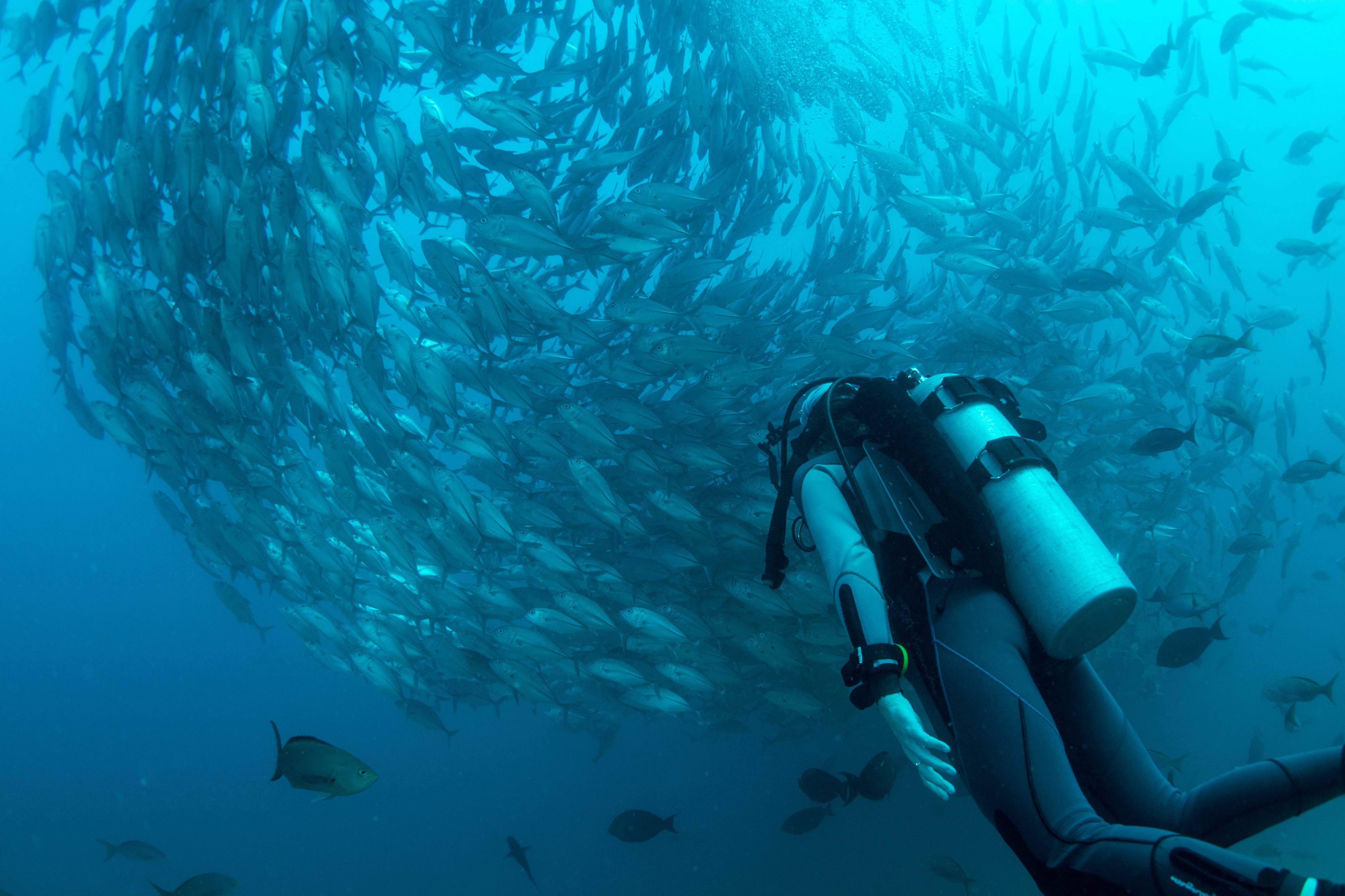 scuba diving boat trip