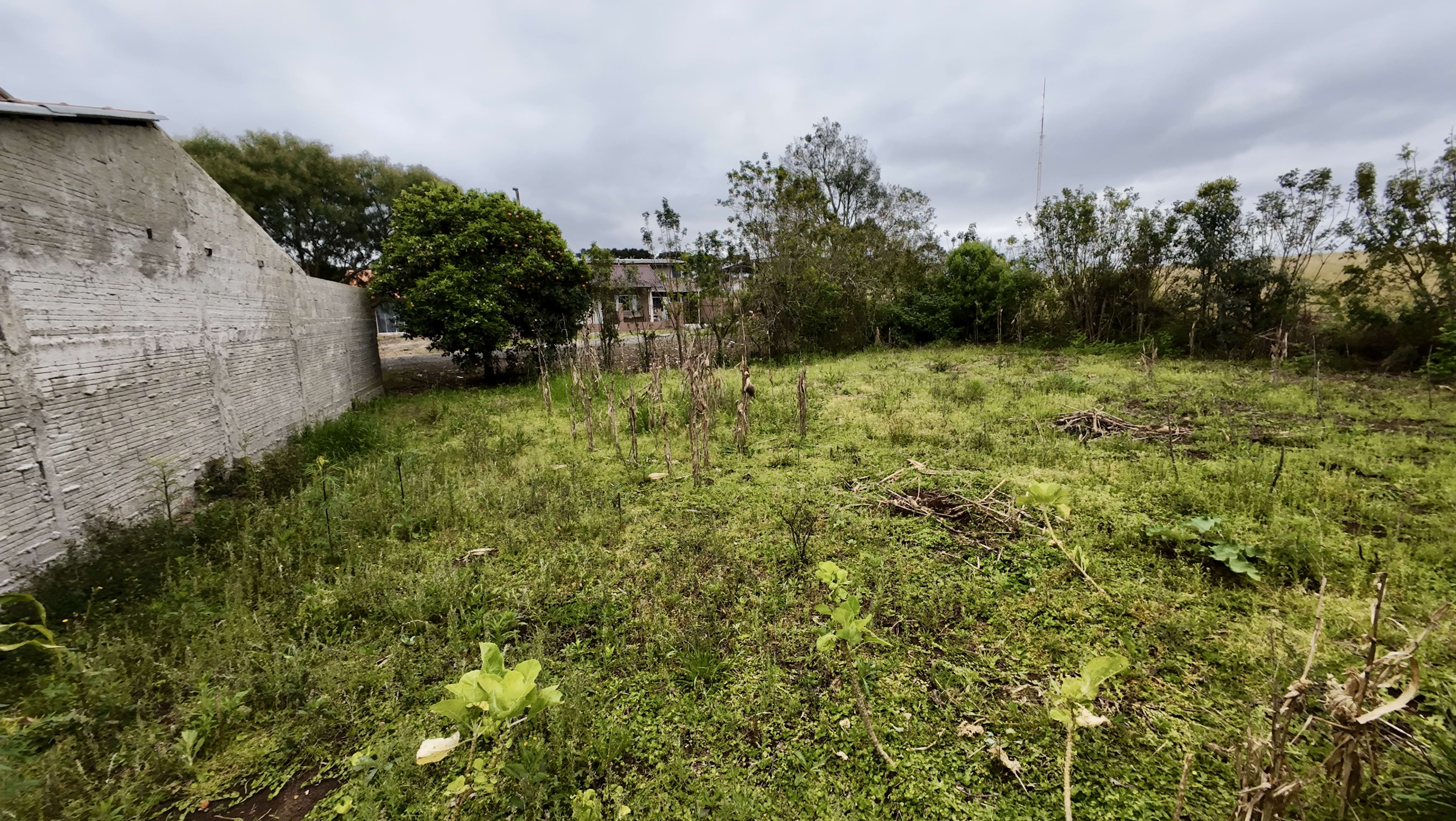 LOTE COM EXCELENTE PREÇO! — foto 6