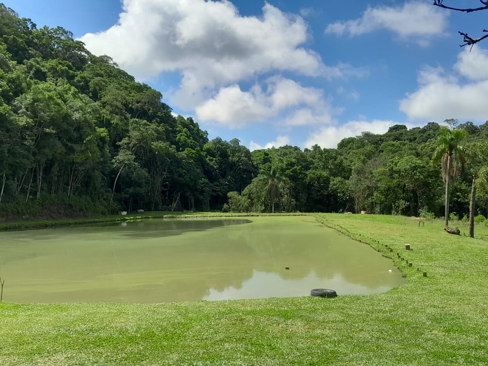 Sítio Rio do Engano — foto 5