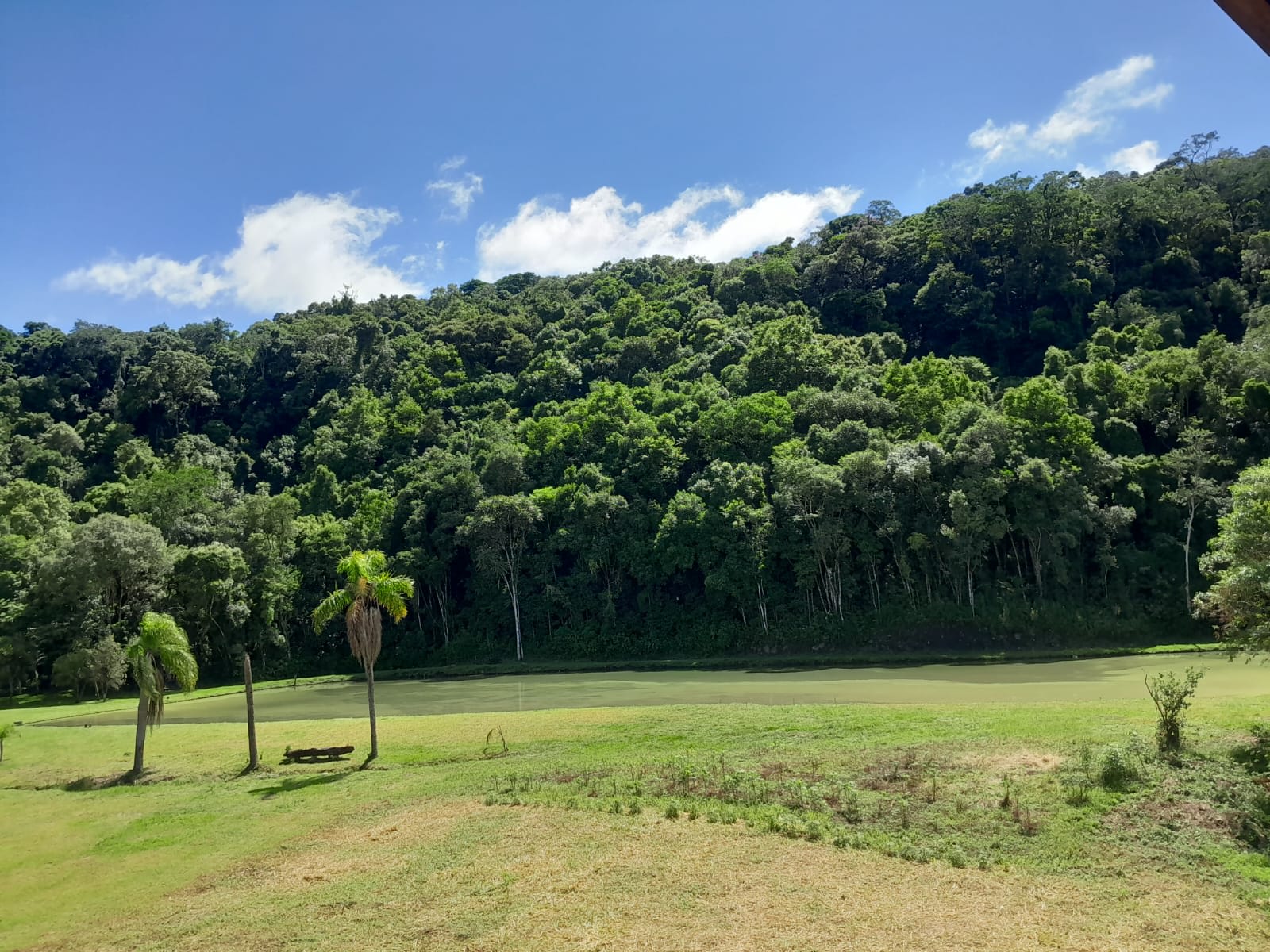 Sítio Rio do Engano — foto 8