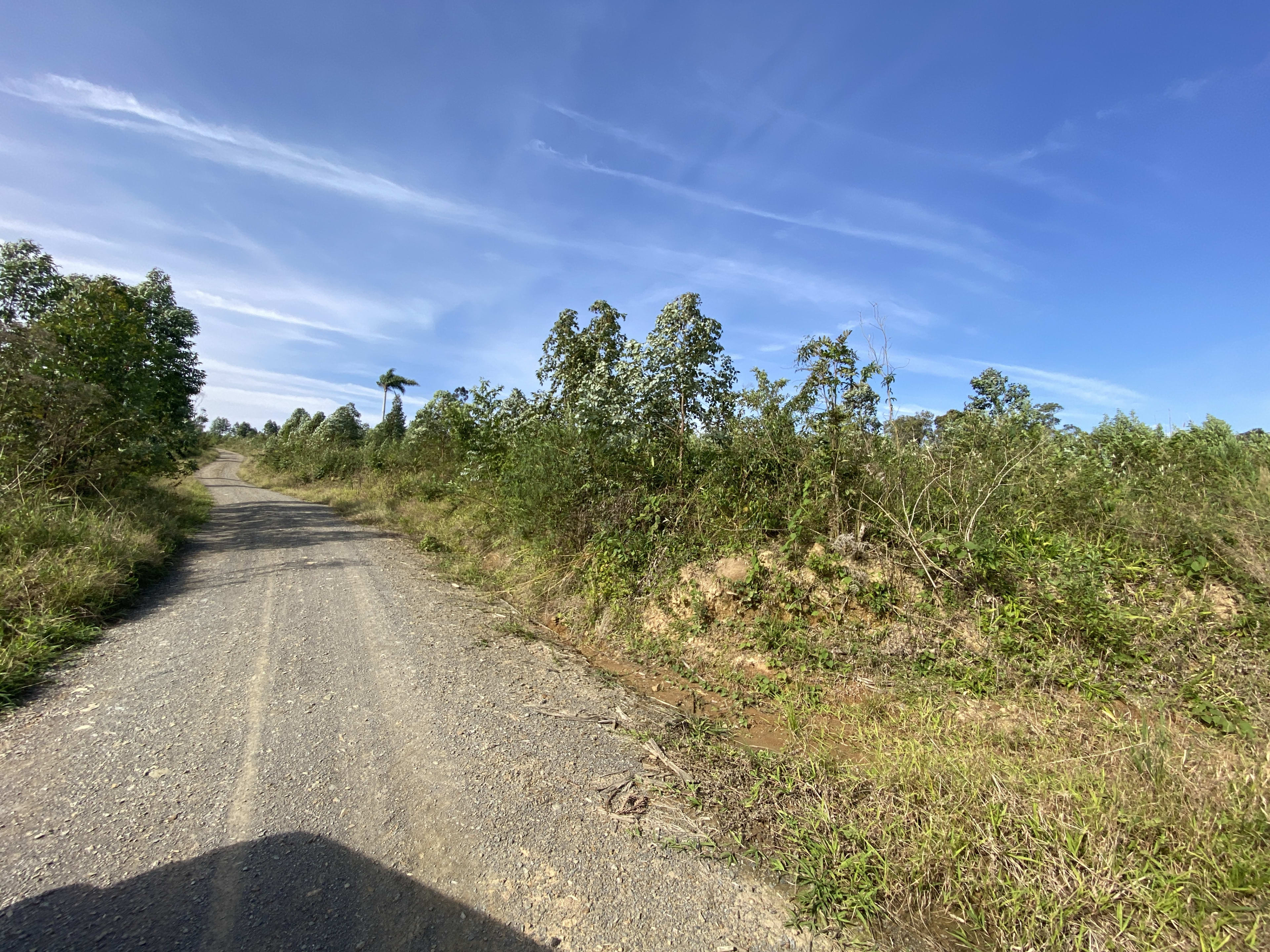 Terreno com 16,13 Hectares — foto 7