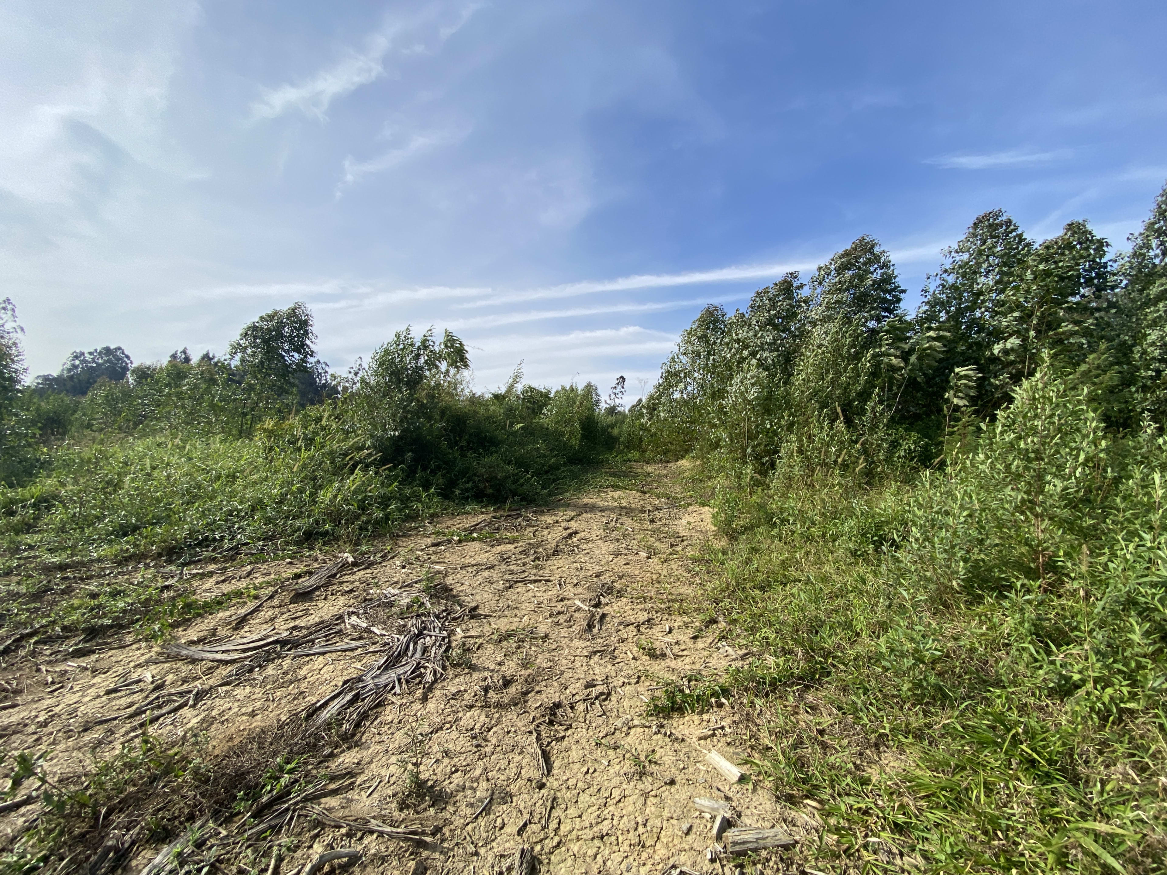 Terreno com 16,13 Hectares — foto 8