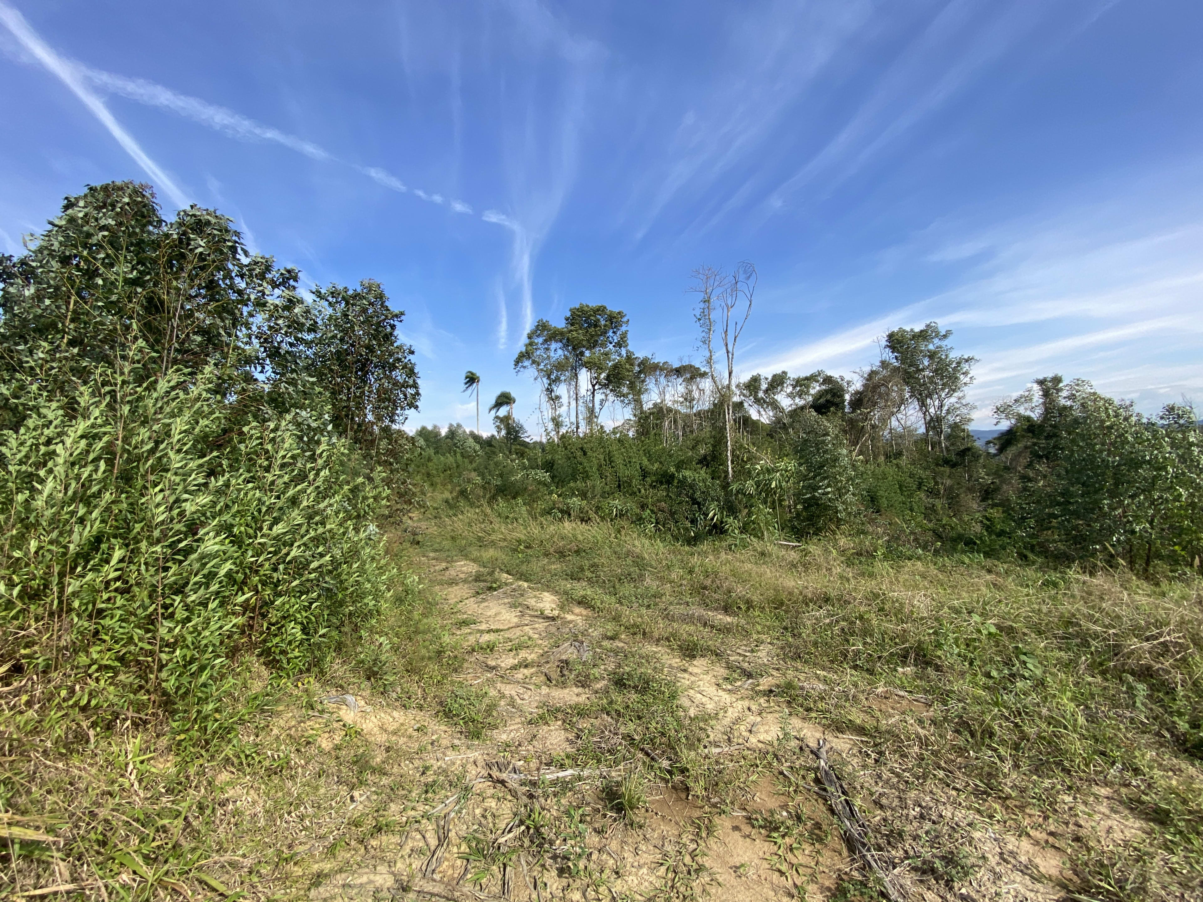 Terreno com 16,13 Hectares — foto 9