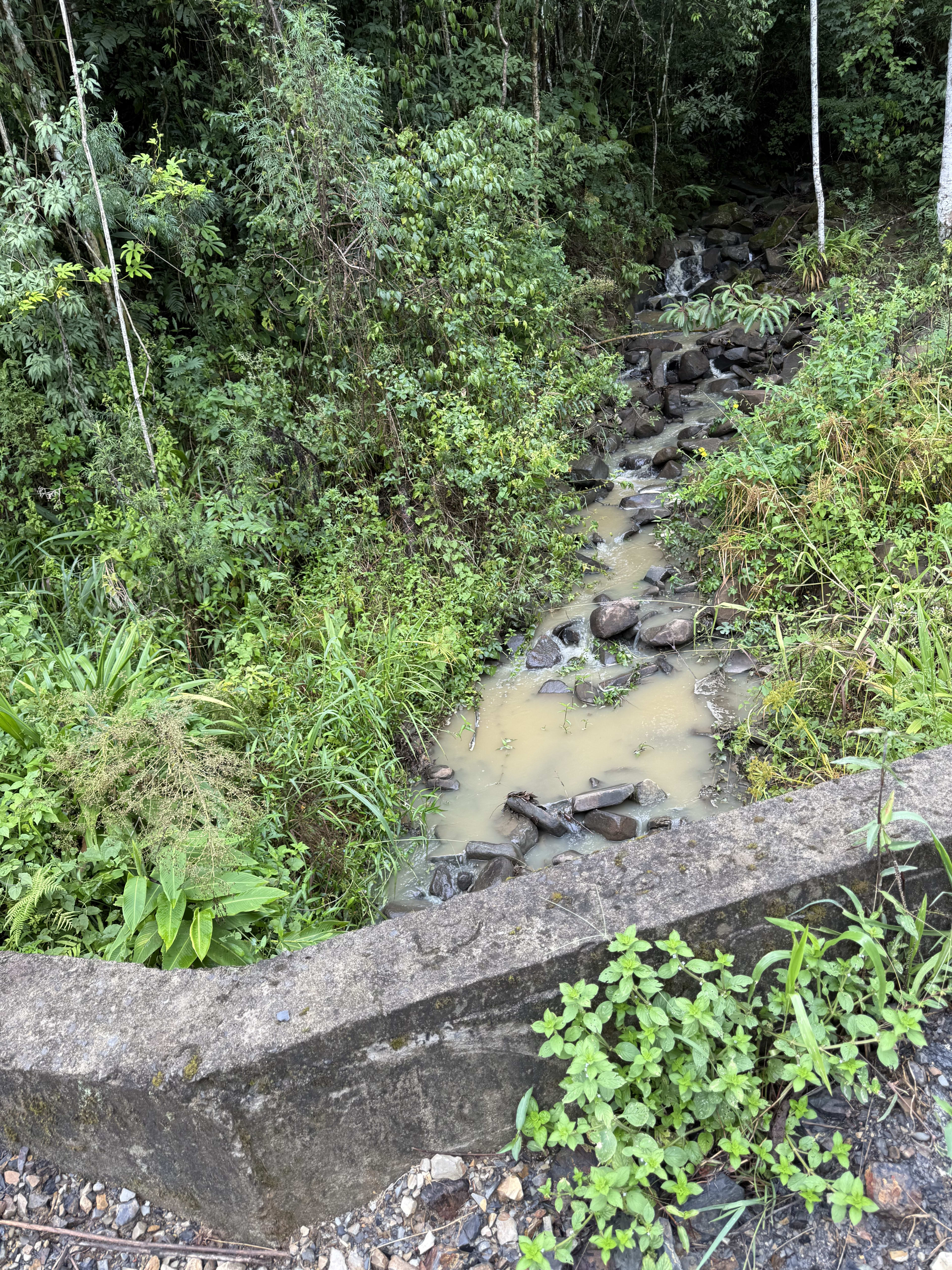 Sítio no Rio do Engano! — foto 19