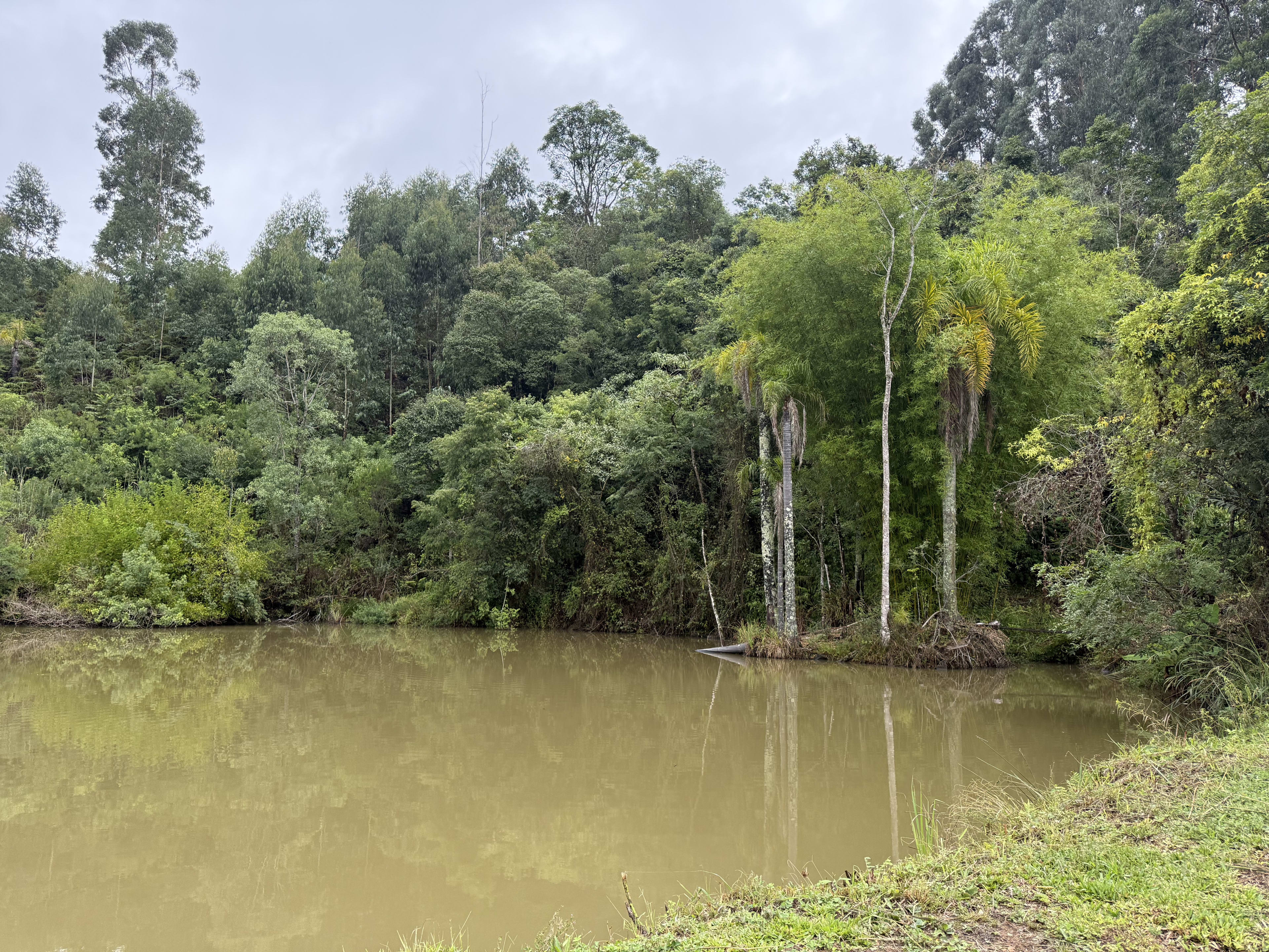 Sítio no Rio do Engano! — foto 21