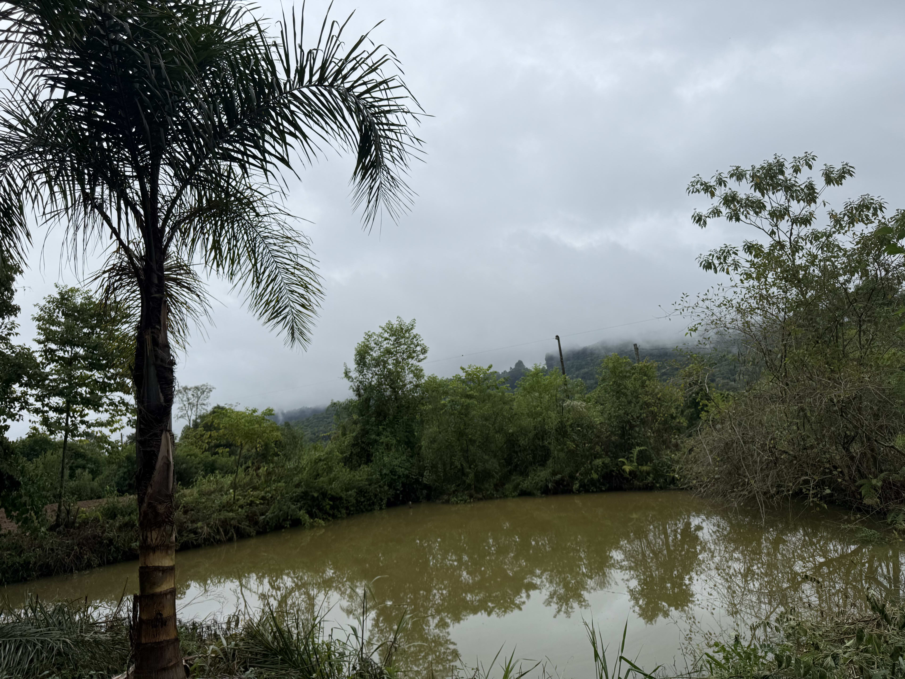 Sítio no Rio do Engano! — foto 22