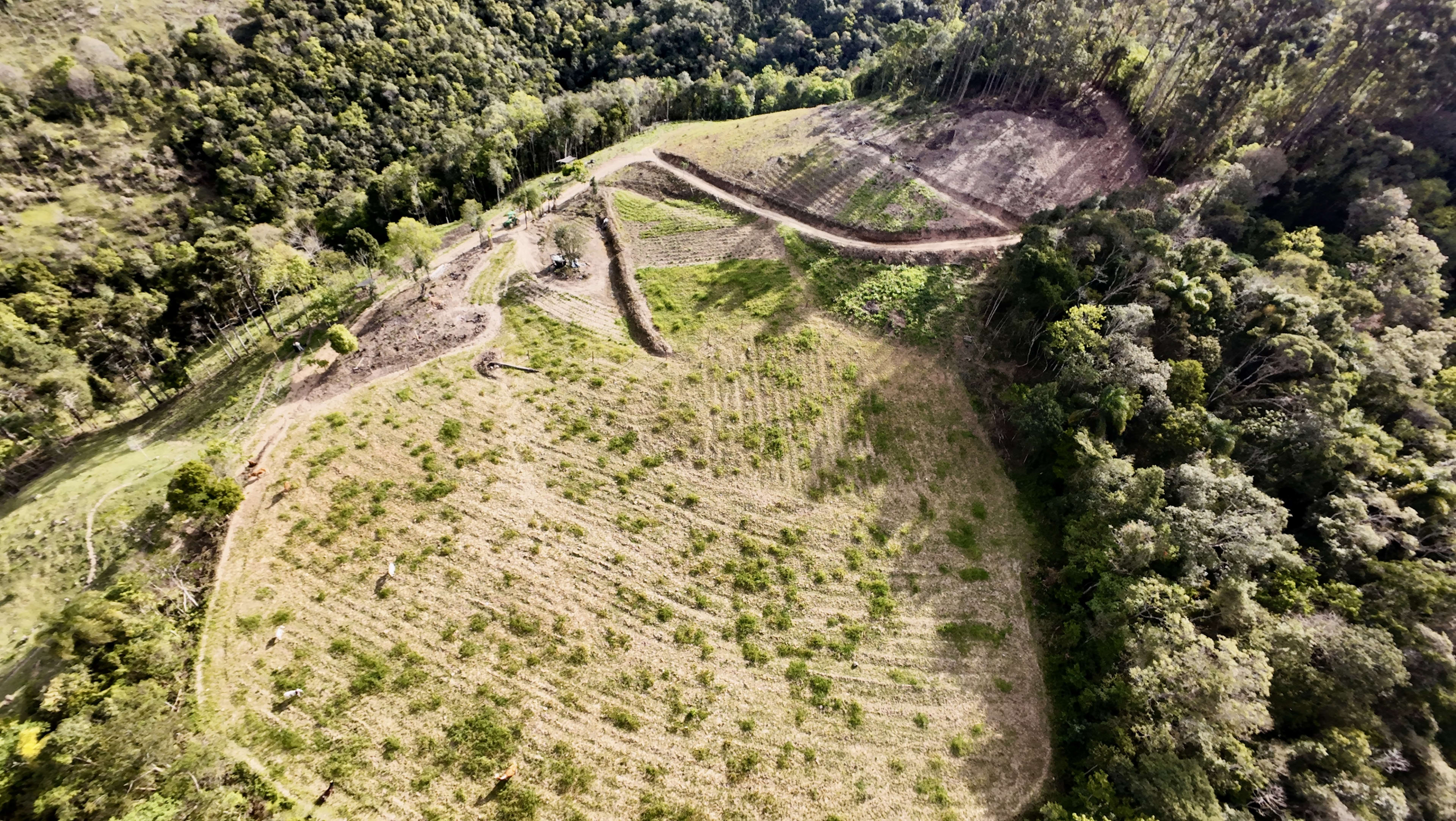 Terreno com 8,06 Hectares — foto 2