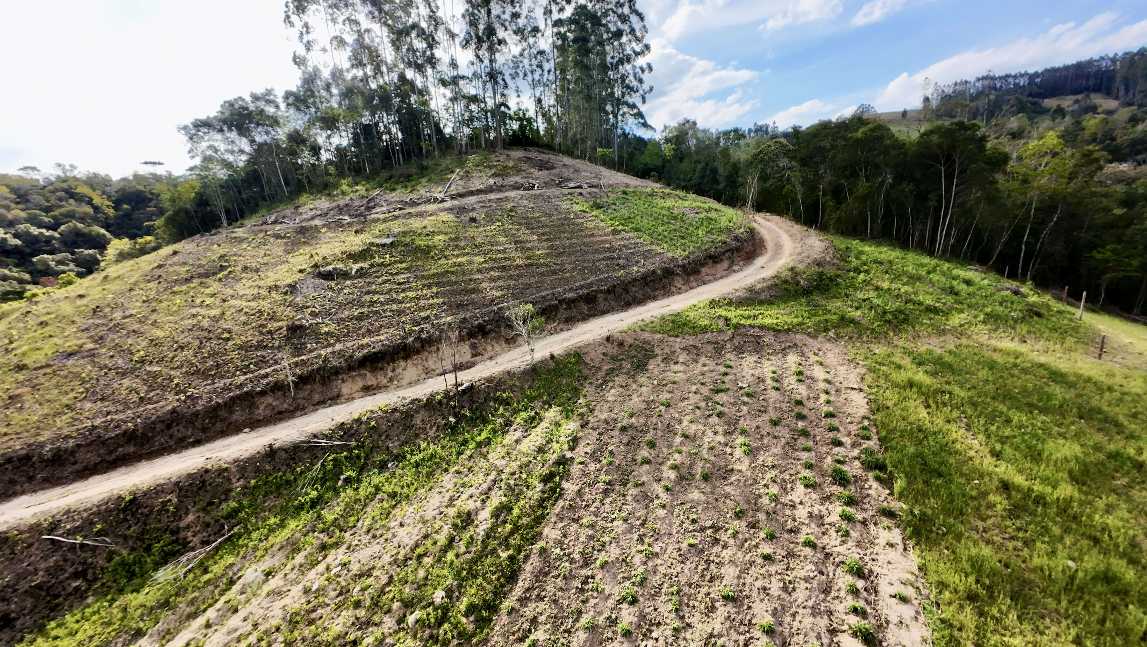 Terreno com 8,06 Hectares — foto 17