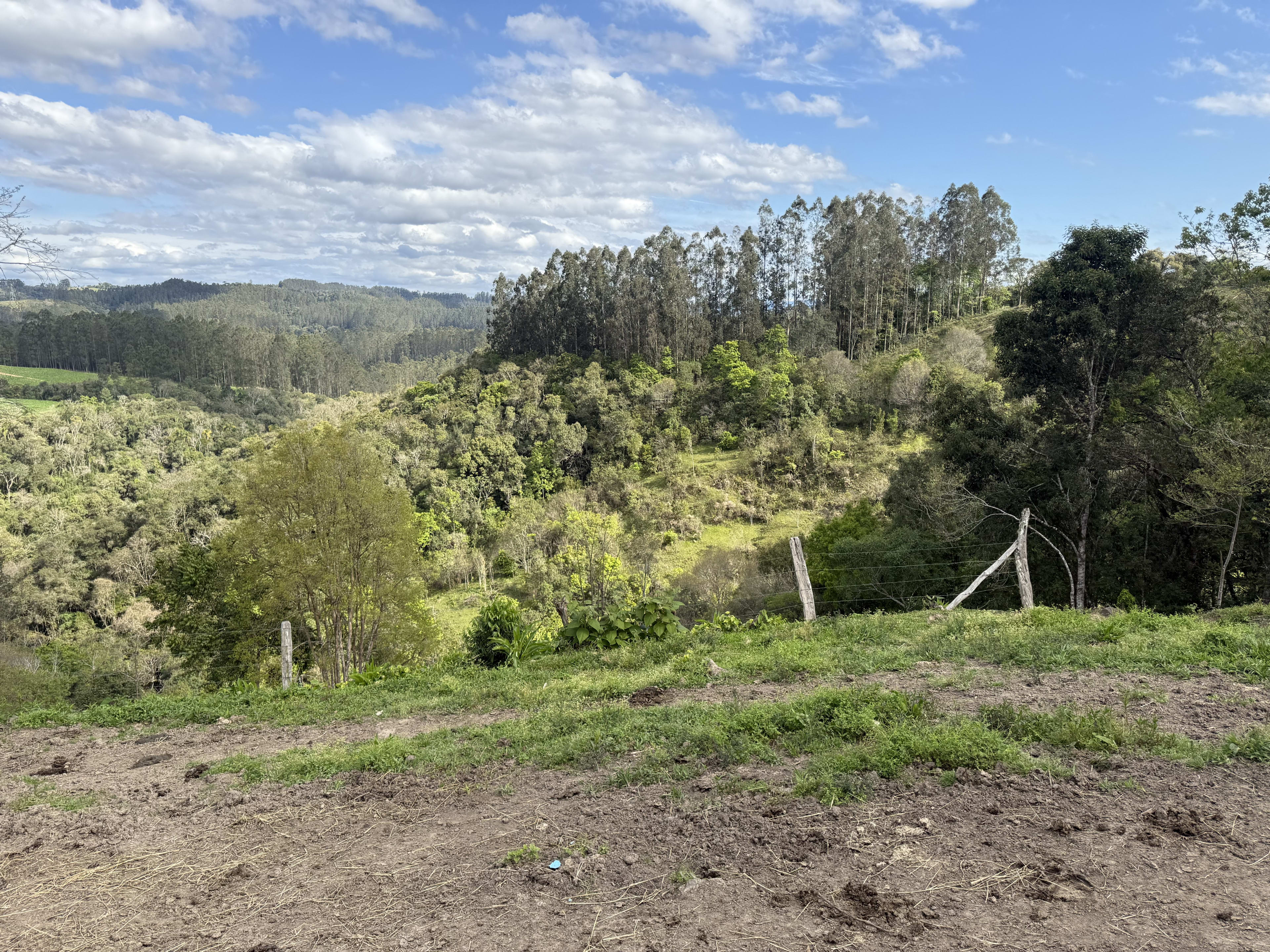 Terreno com 8,06 Hectares — foto 21