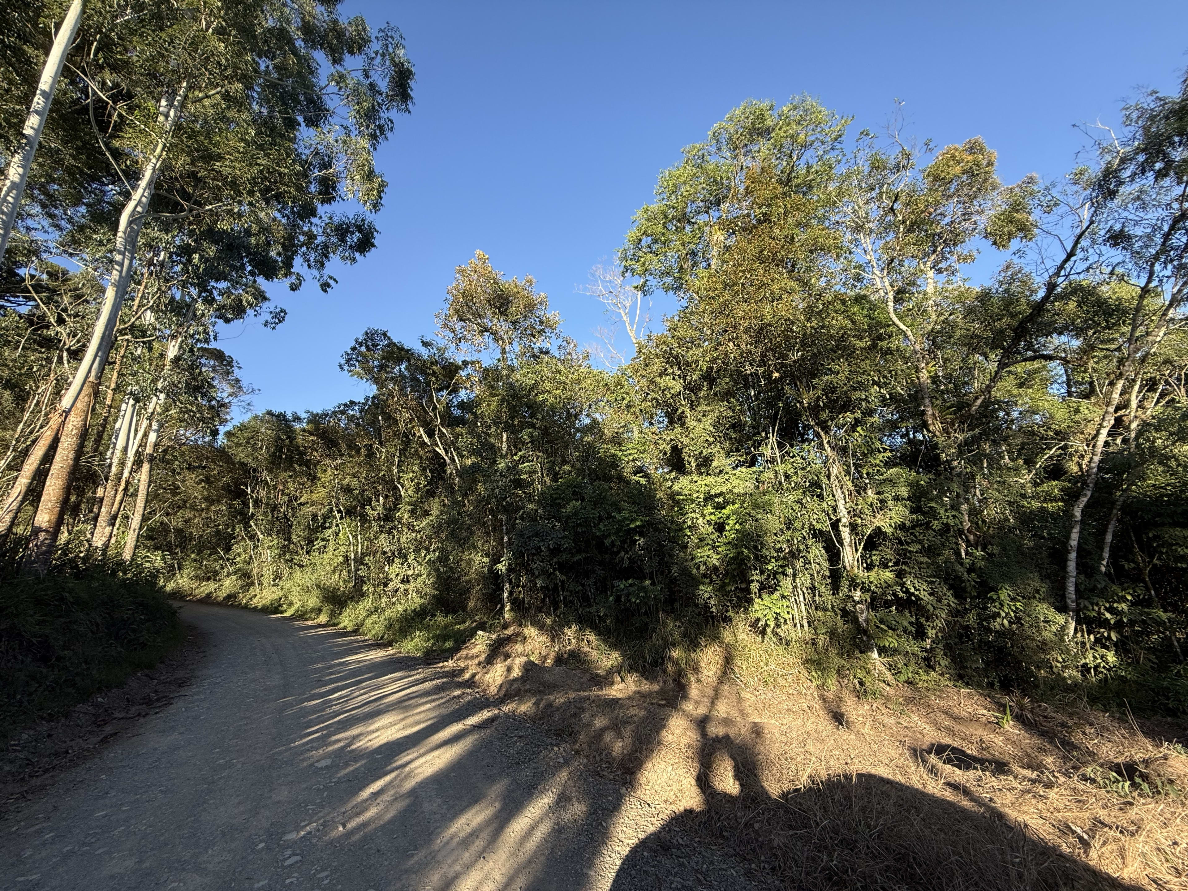 Terreno com 2 Hectares — foto 3