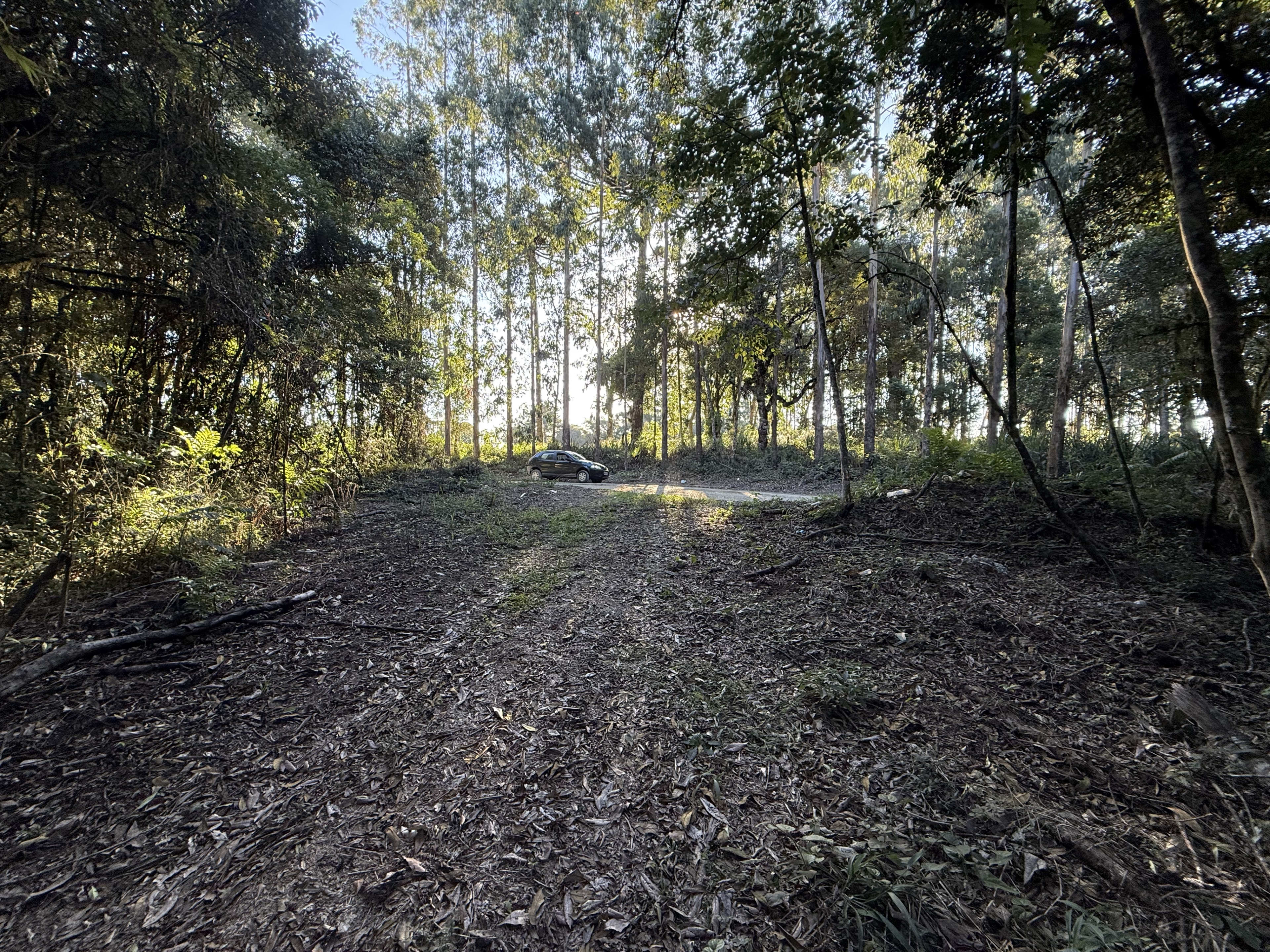 Terreno com 2 Hectares — foto 10