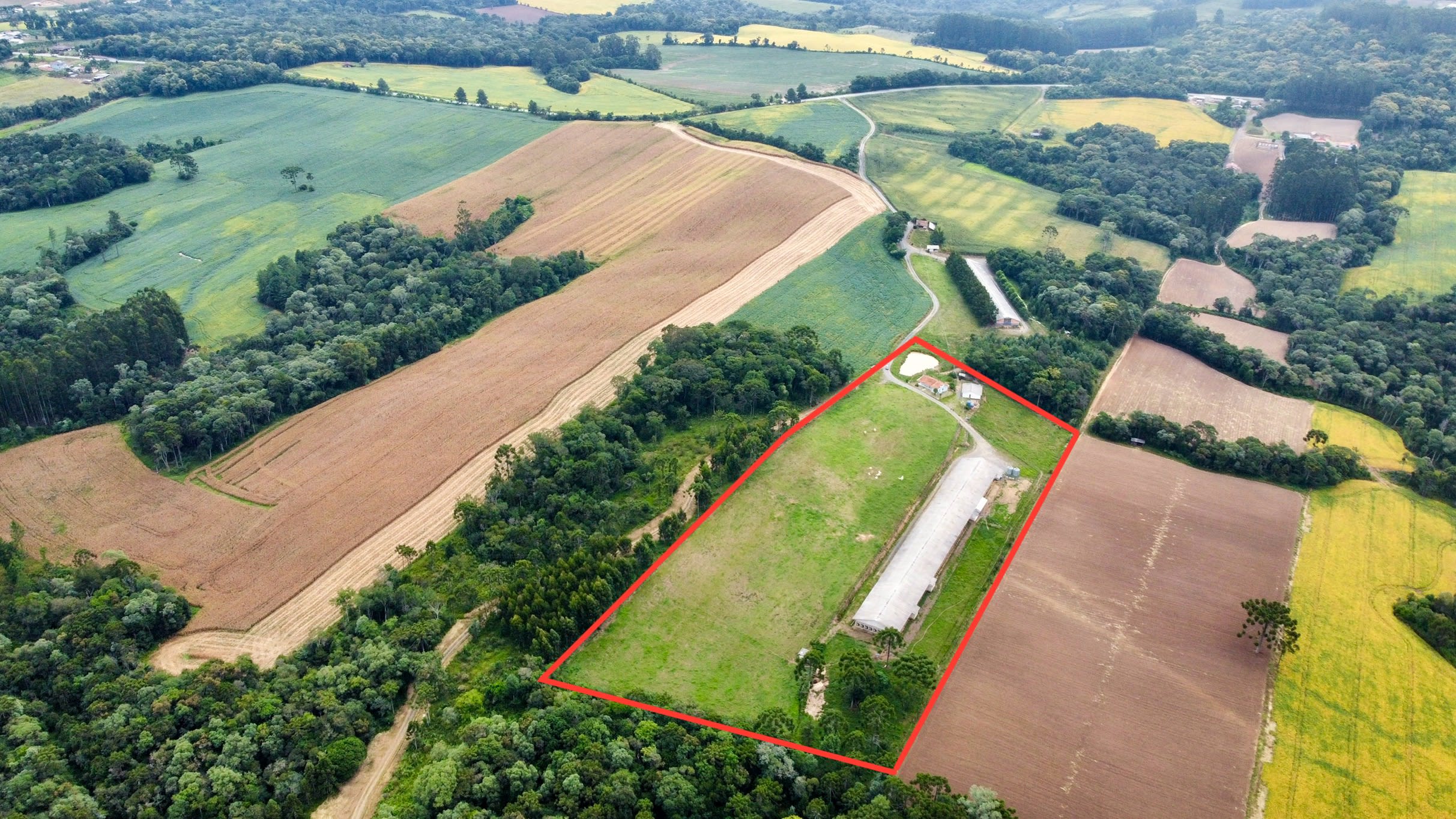 Granja — foto 11