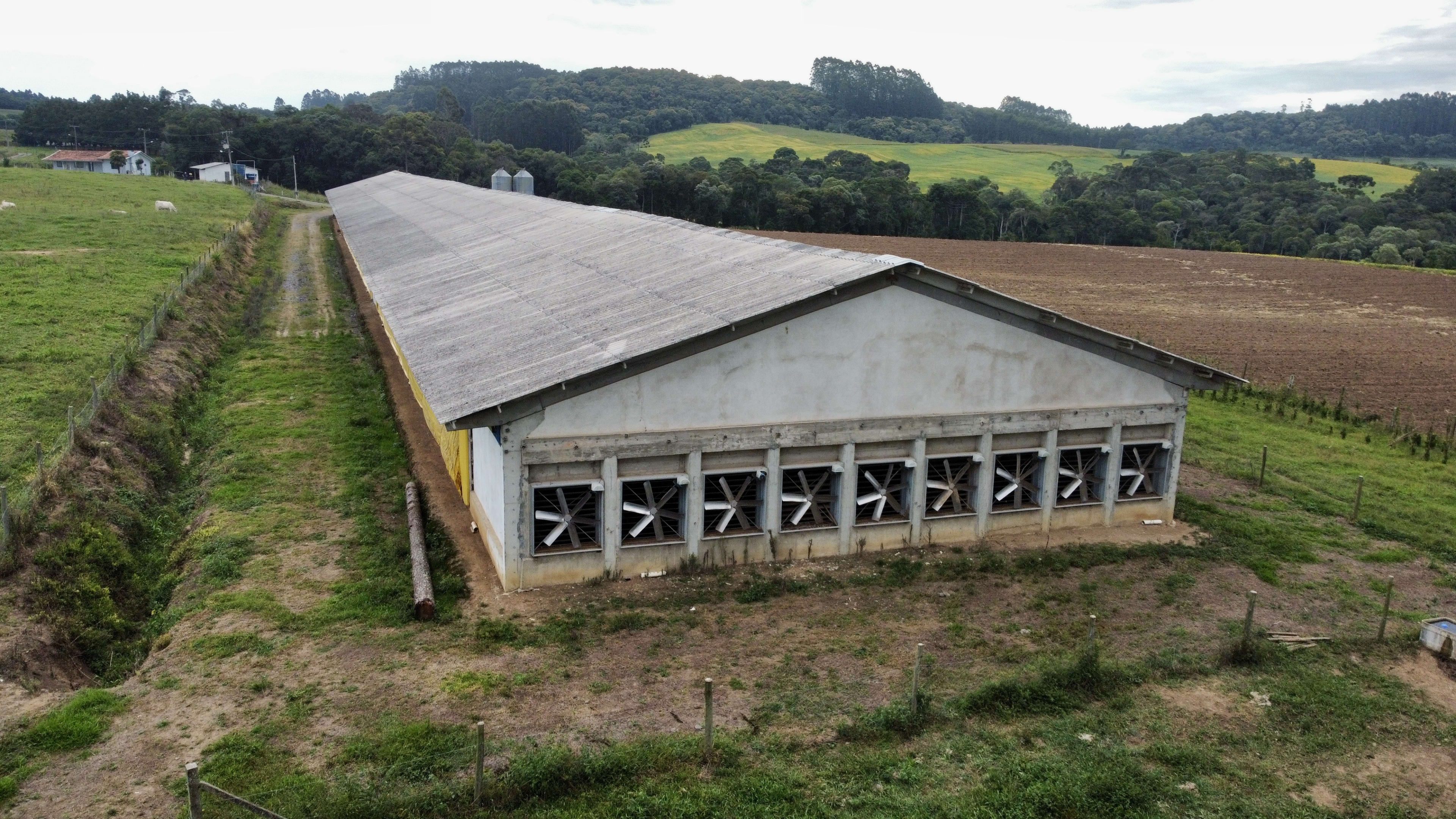 Granja — foto 16