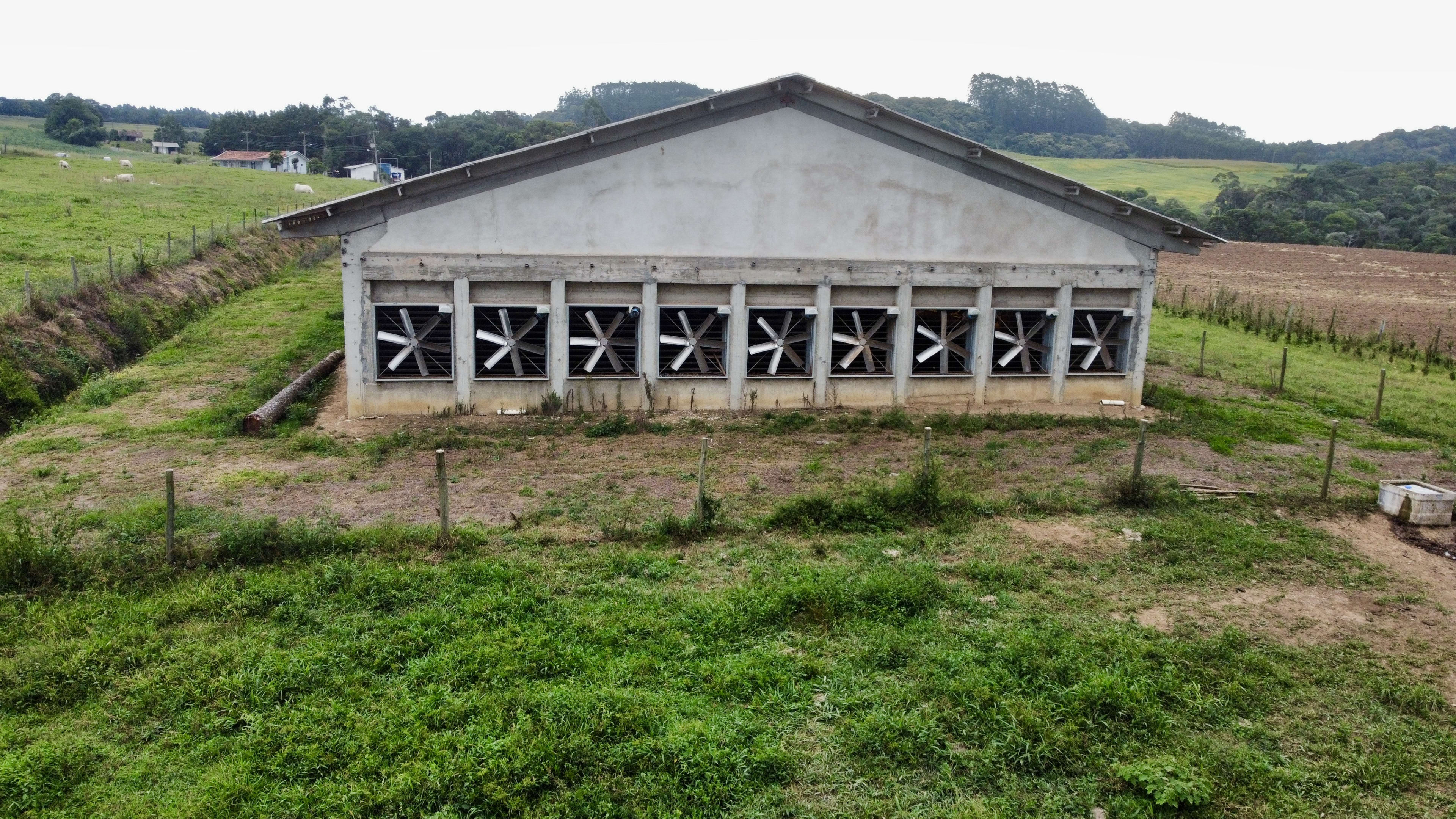 Granja — foto 17