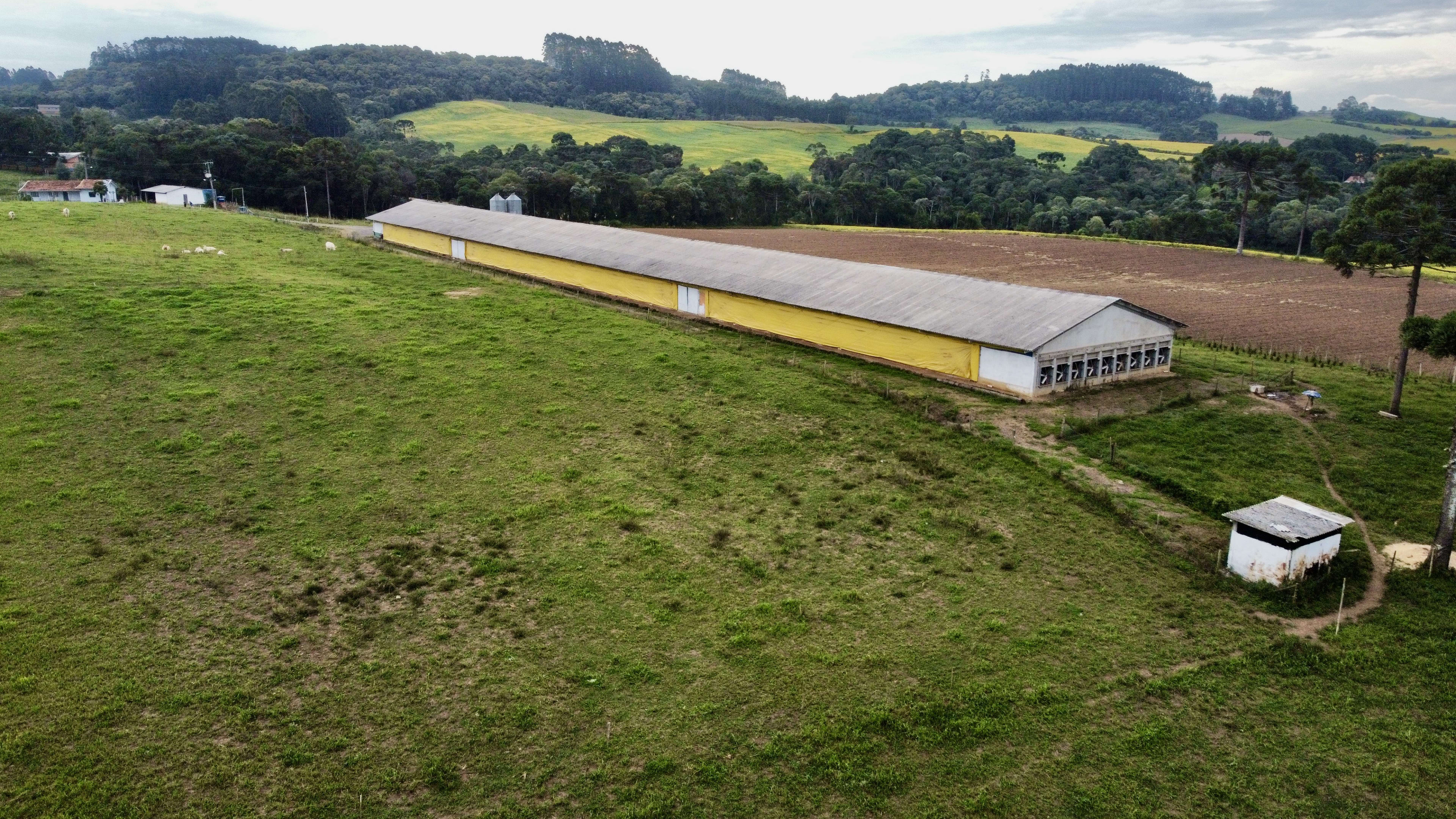 Granja — foto 18