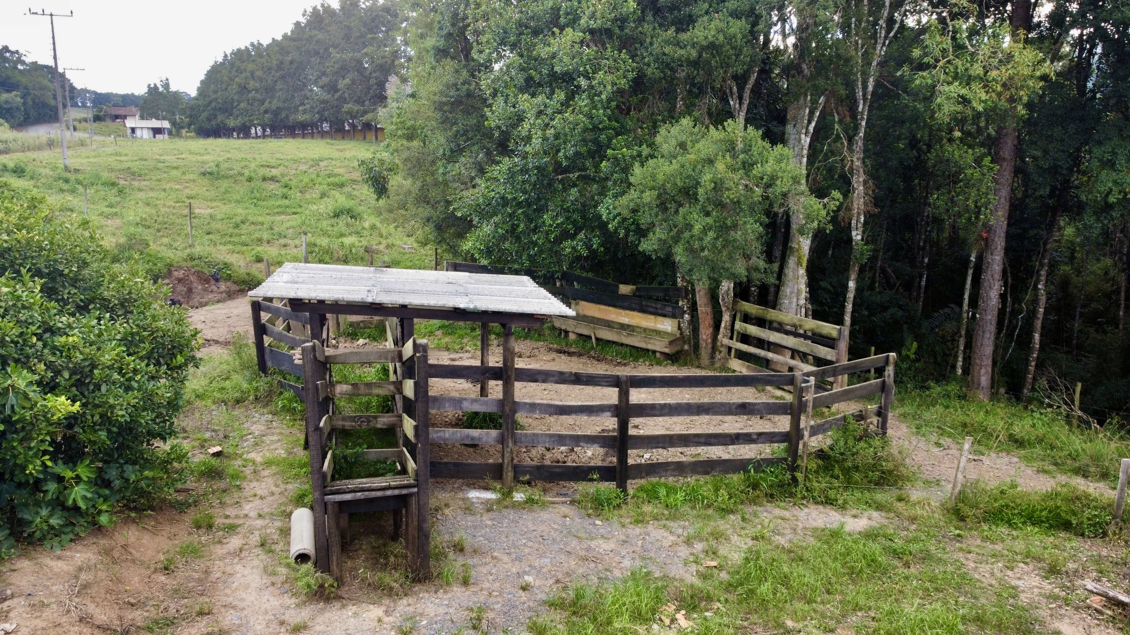Granja — foto 27