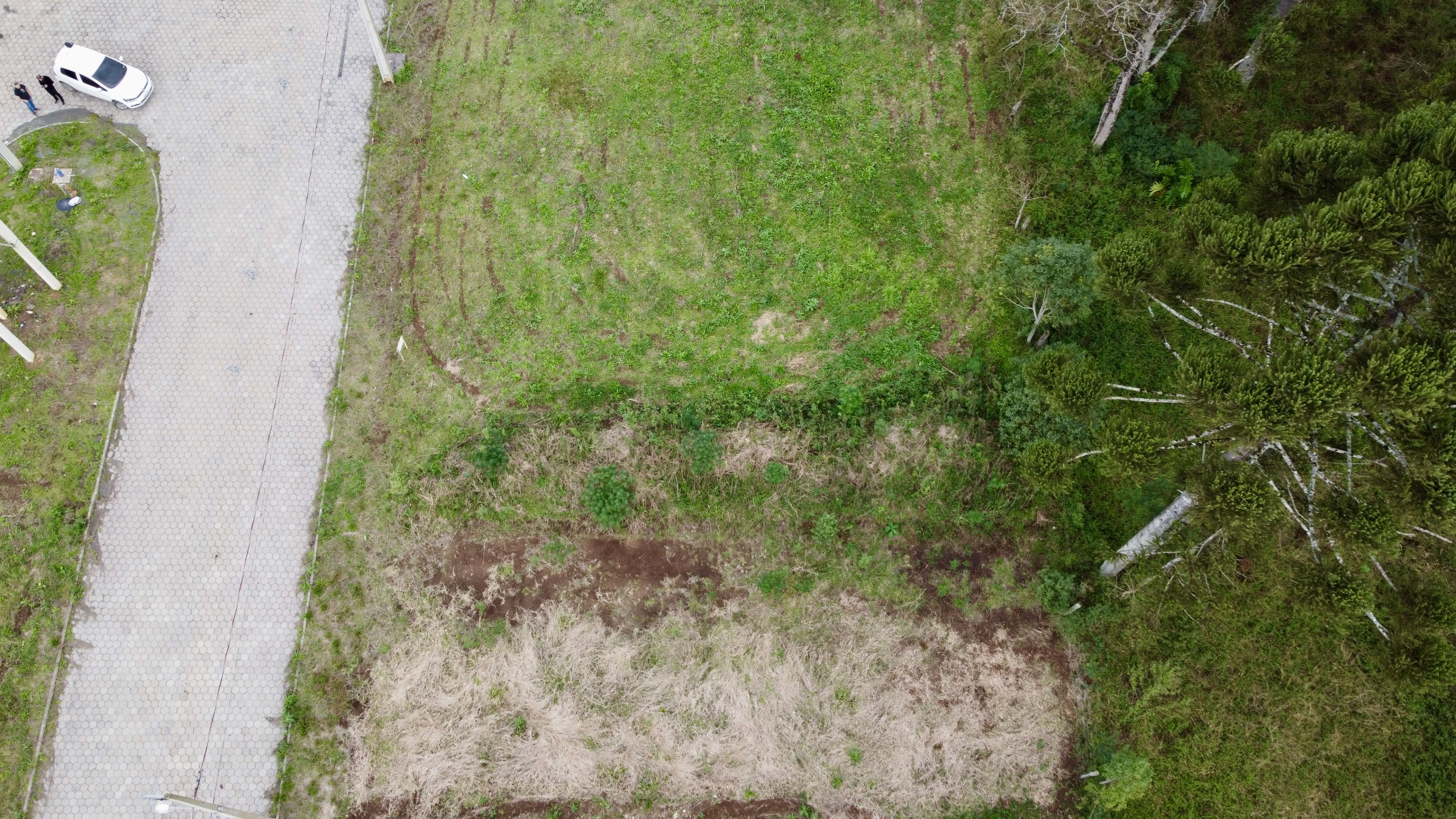 Lotes Residenciais  — foto 12