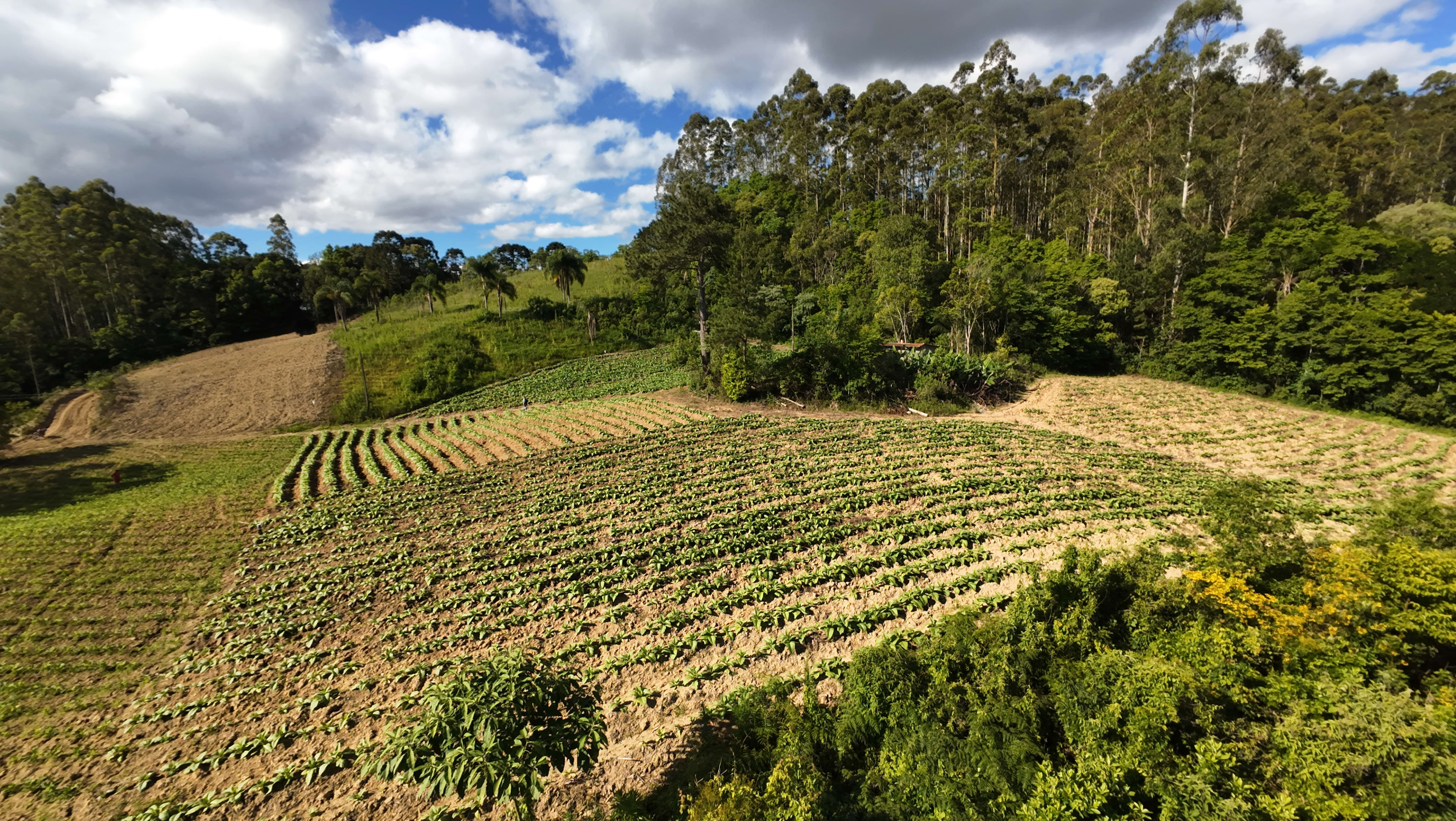 Terreno com 8,06 Hectares — foto 2