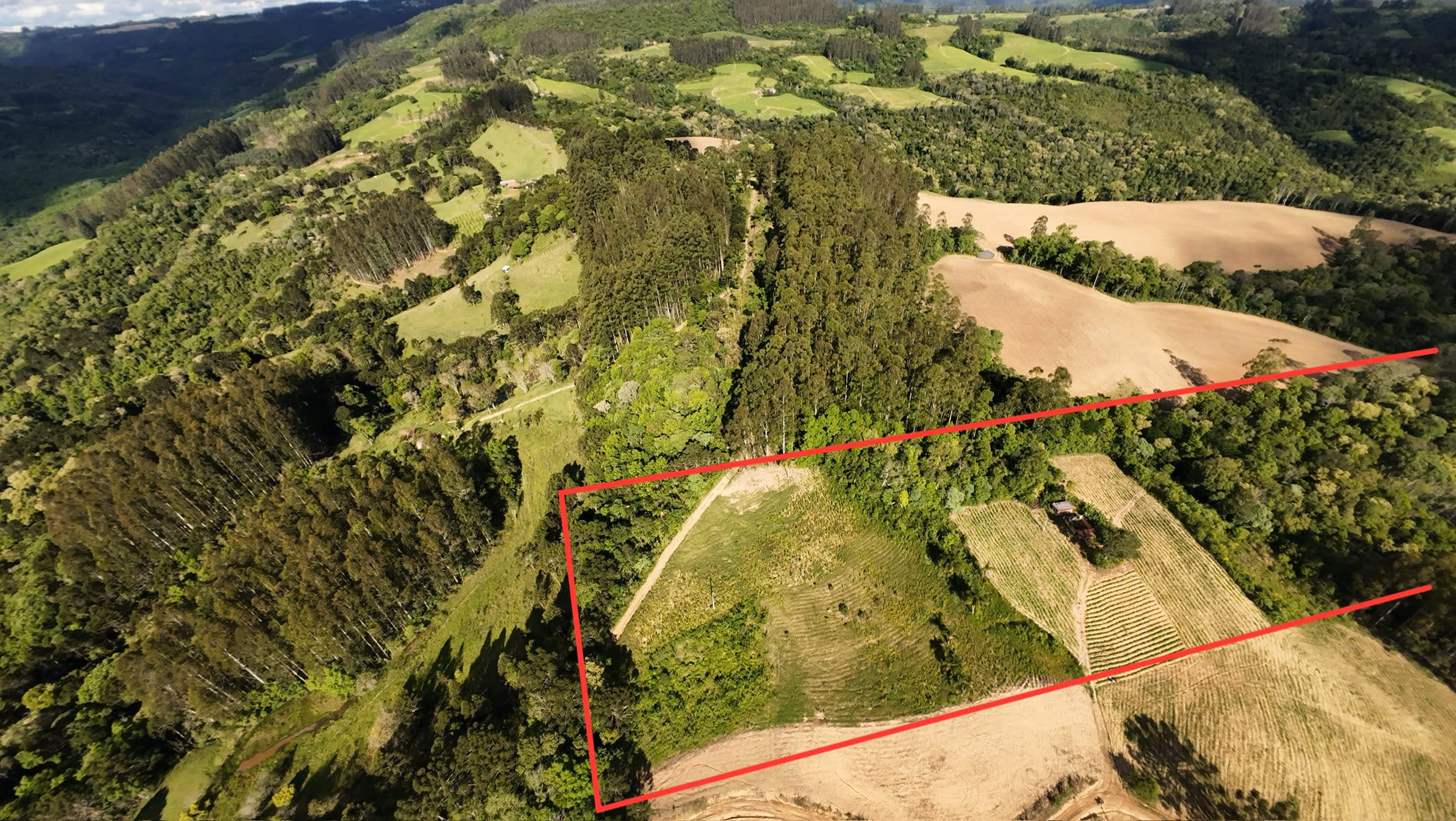 Terreno com 8,06 Hectares — foto 3