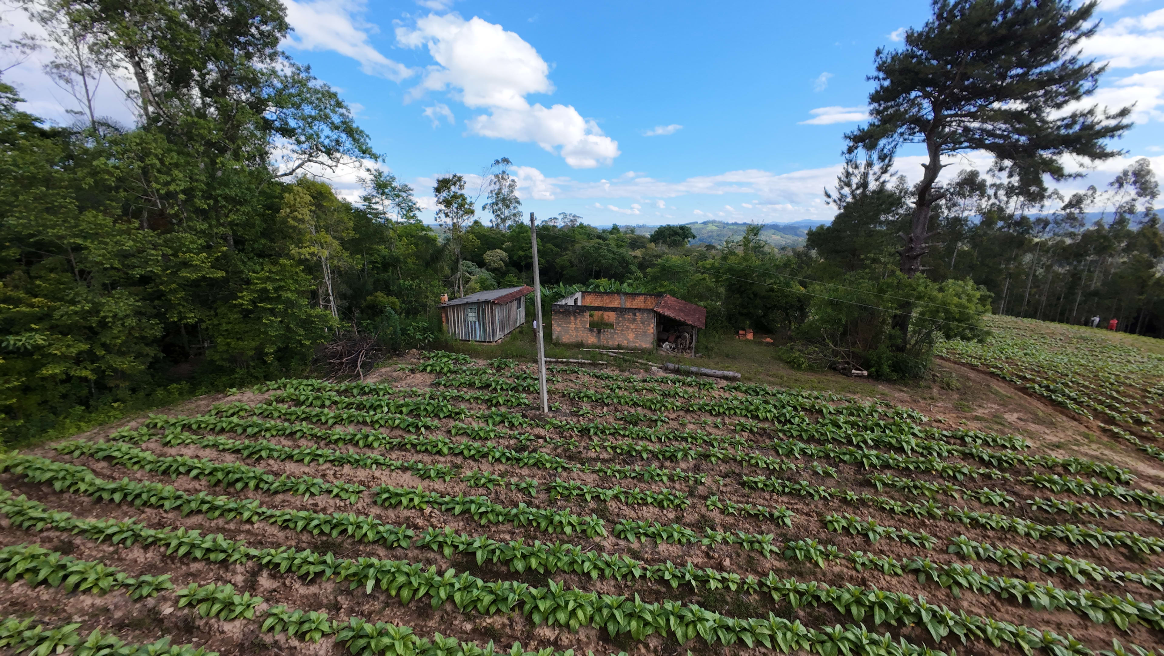 Terreno com 8,06 Hectares — foto 4