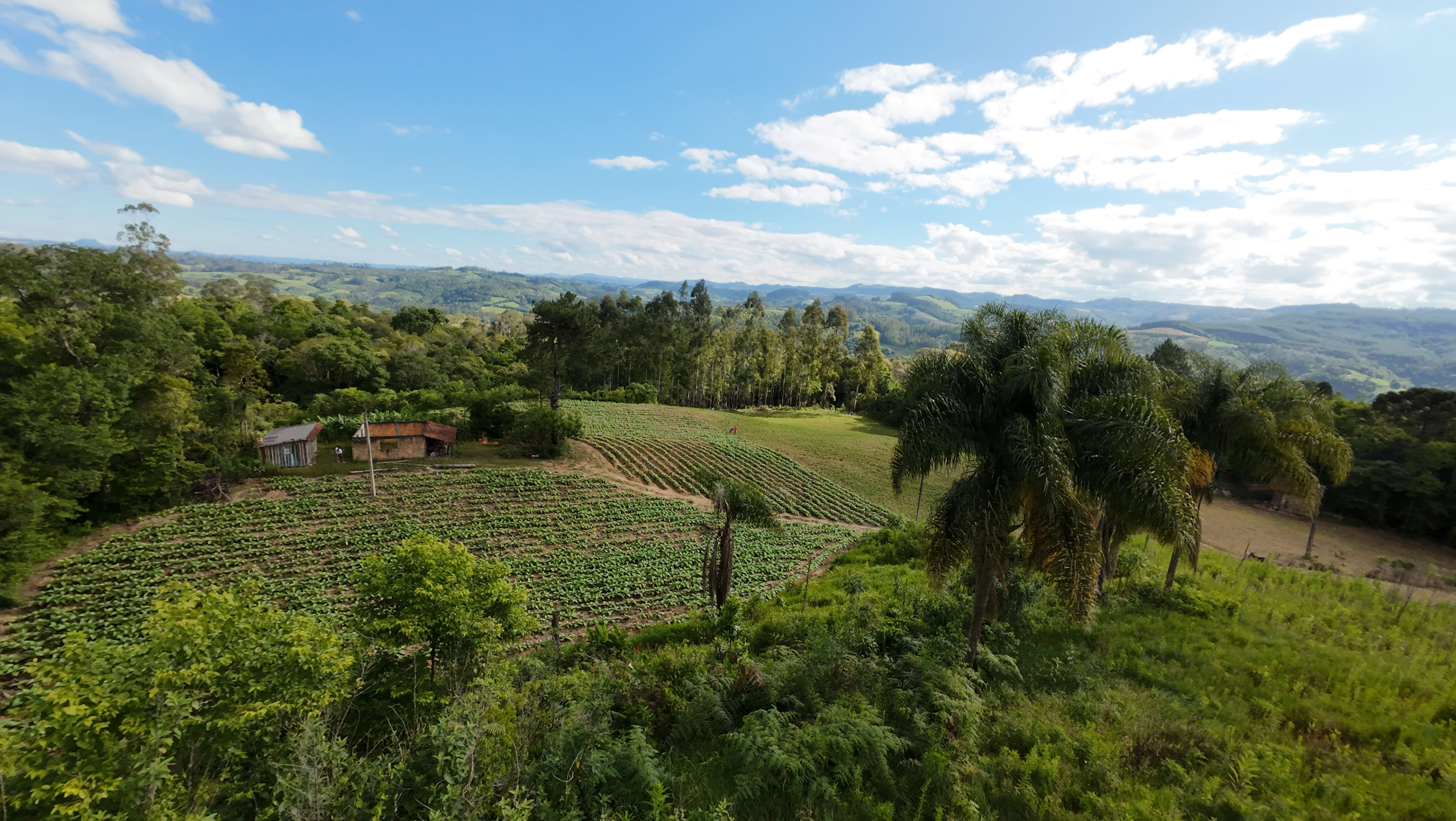 Terreno com 8,06 Hectares — foto 6
