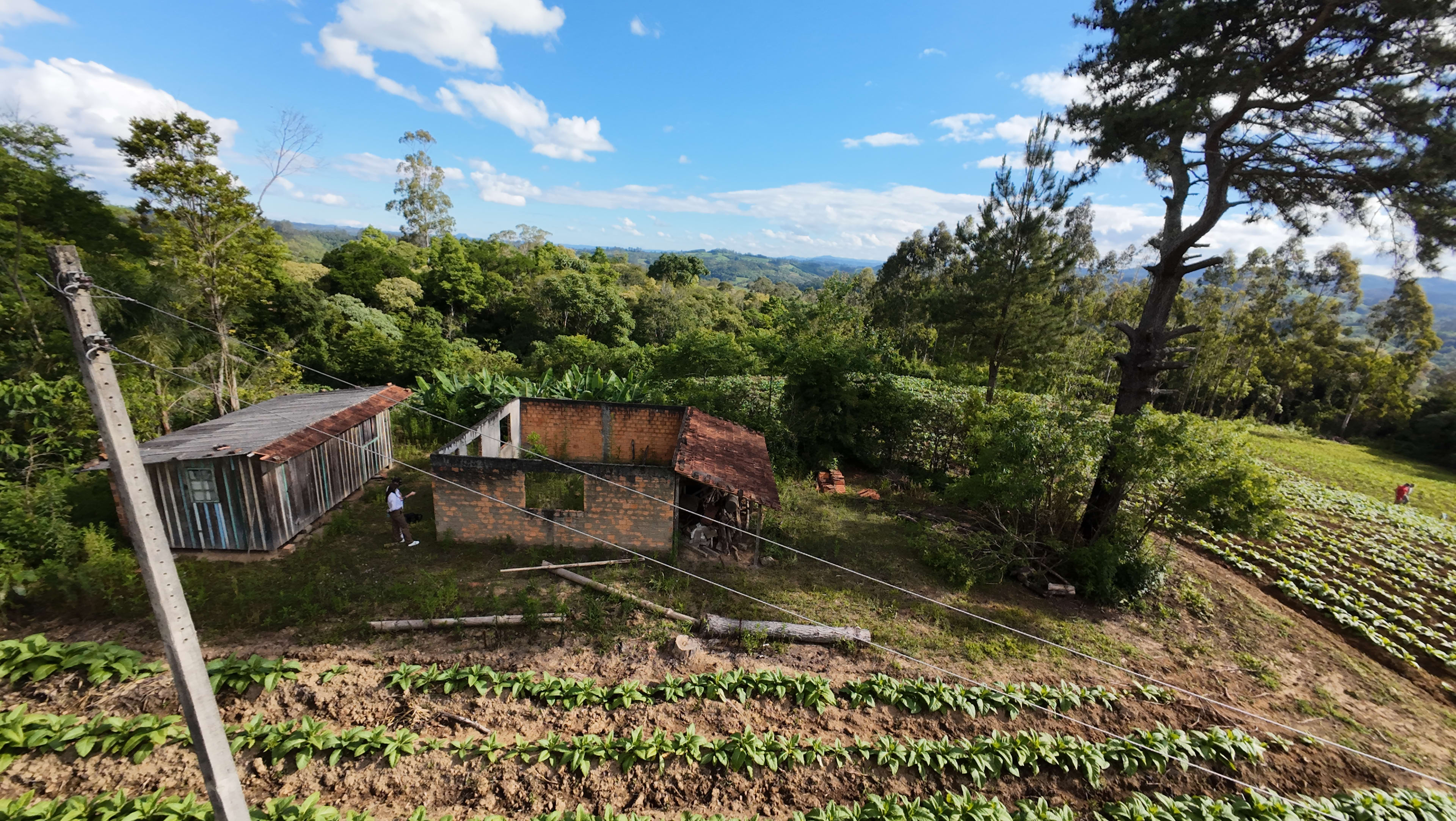 Terreno com 8,06 Hectares — foto 8