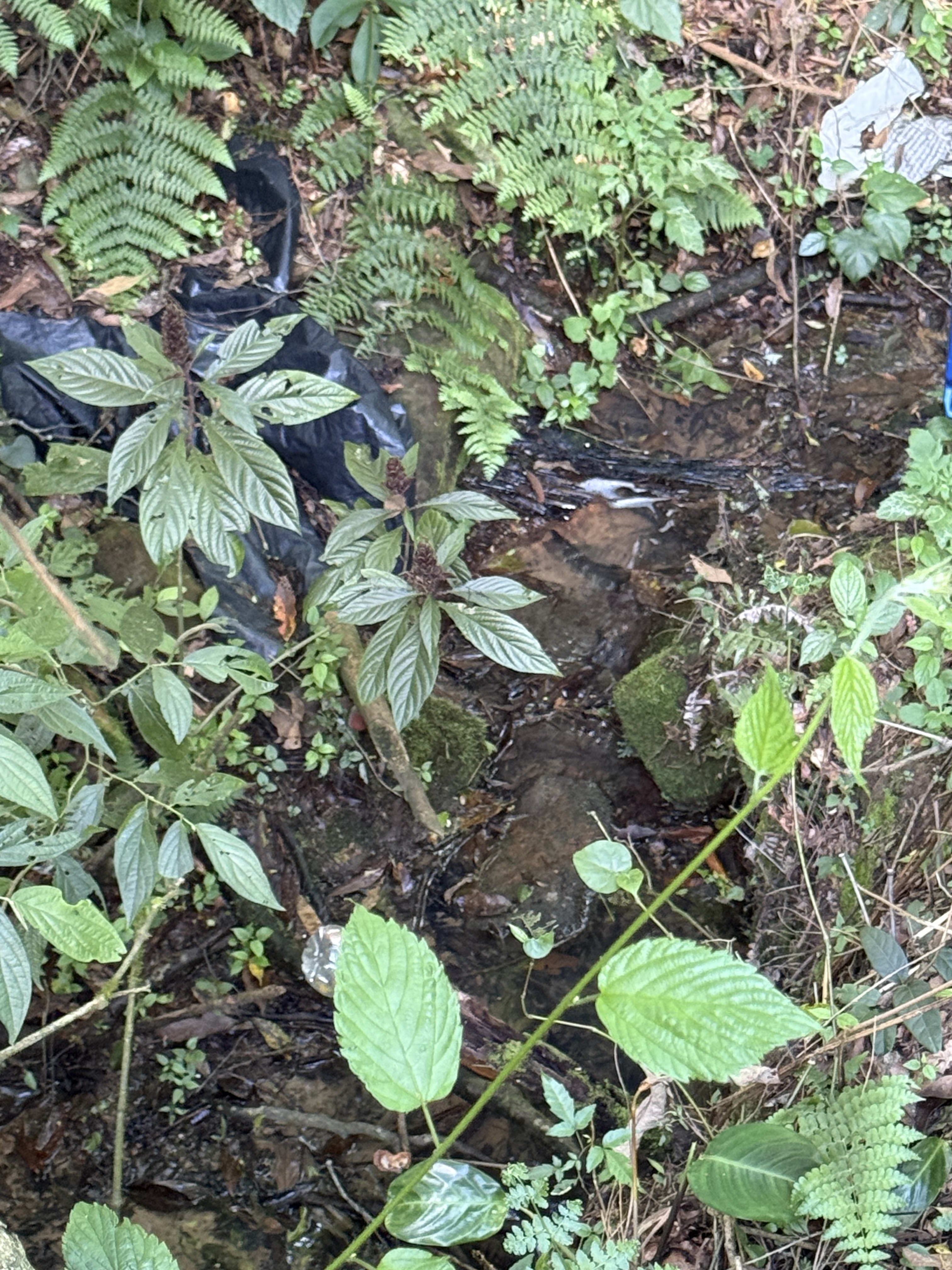 Terreno com 8,06 Hectares — foto 13