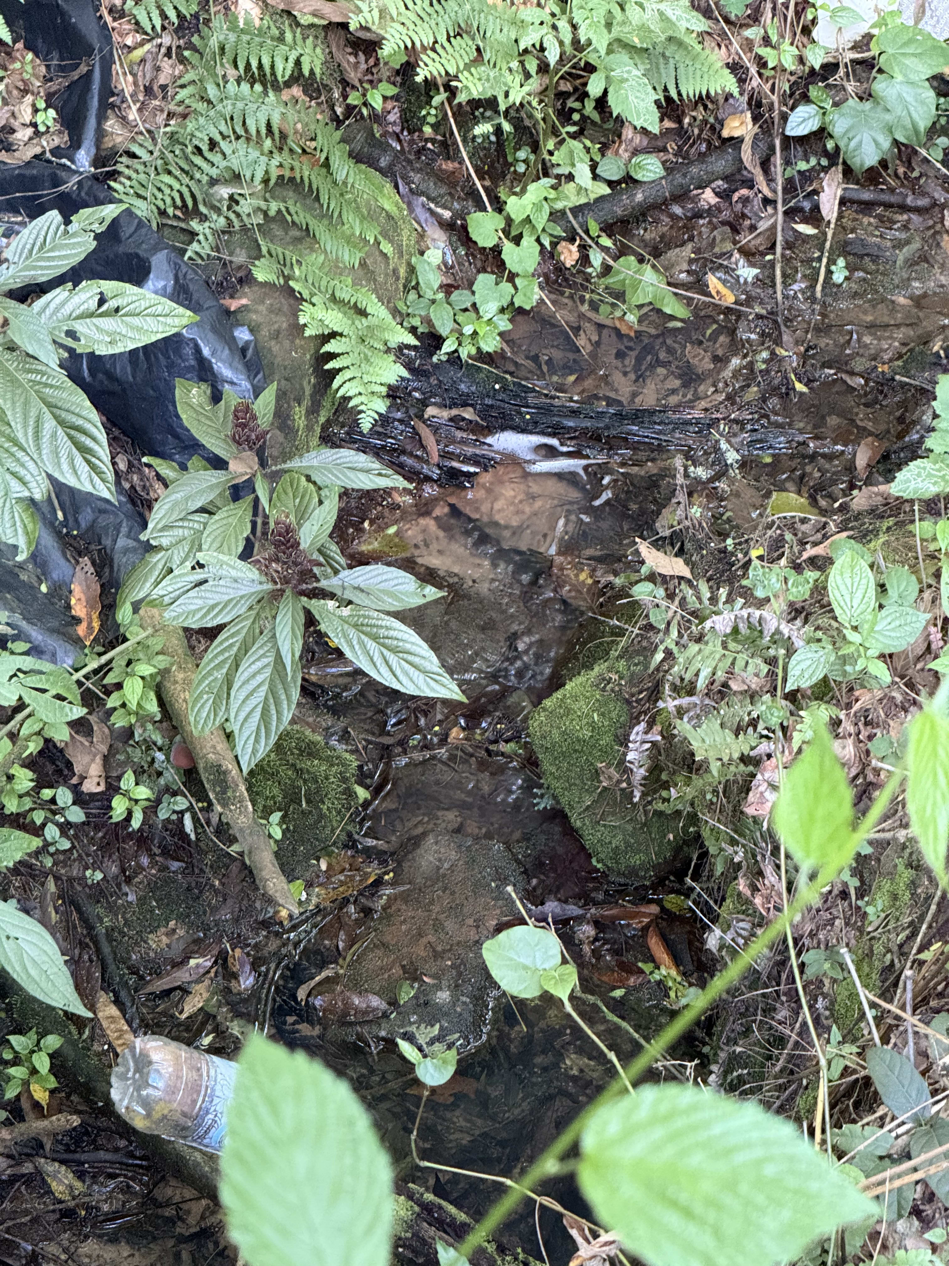 Terreno com 8,06 Hectares — foto 14