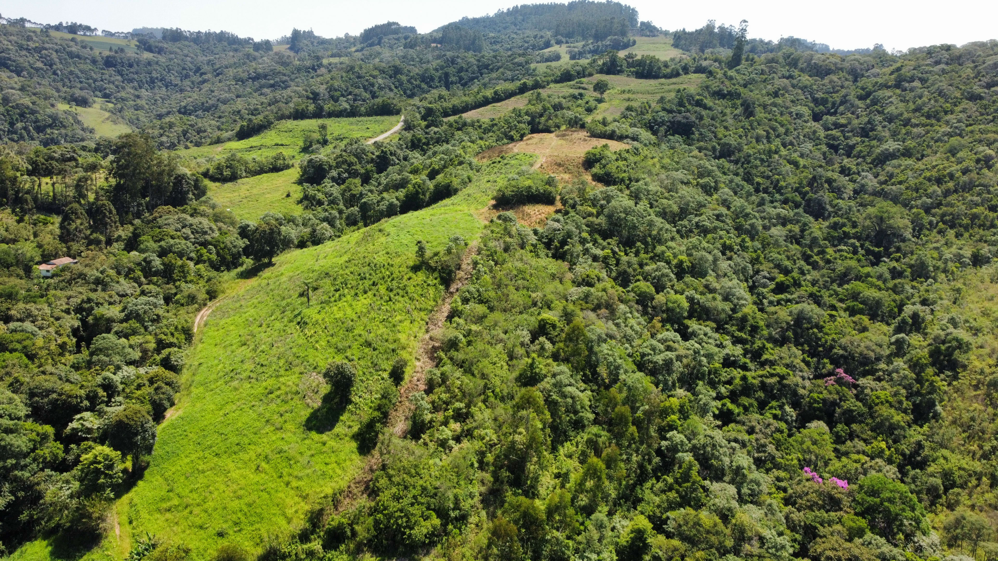 Área Rural com 33.000 m²