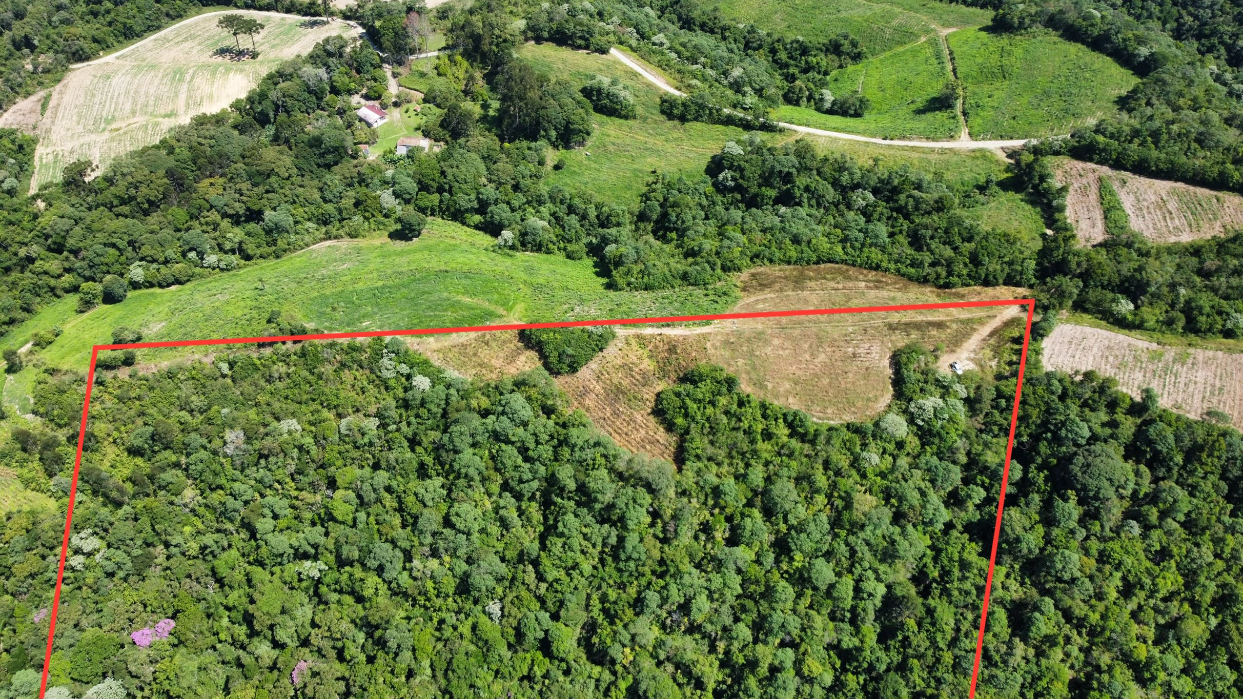 Área Rural com 33.000 m² — foto 3