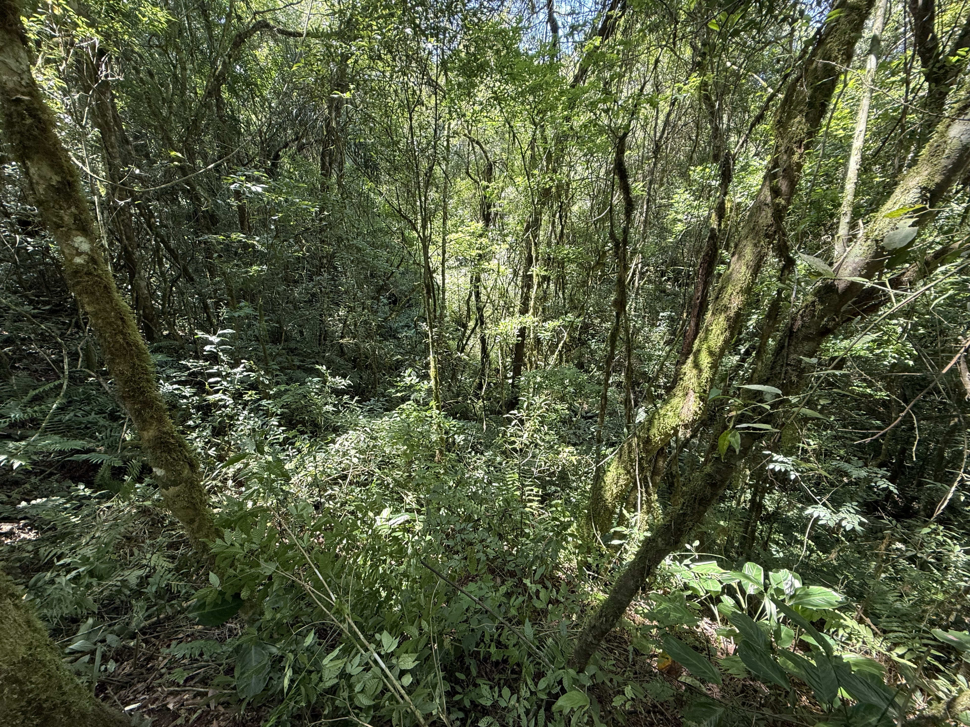 Área Rural com 33.000 m² — foto 8