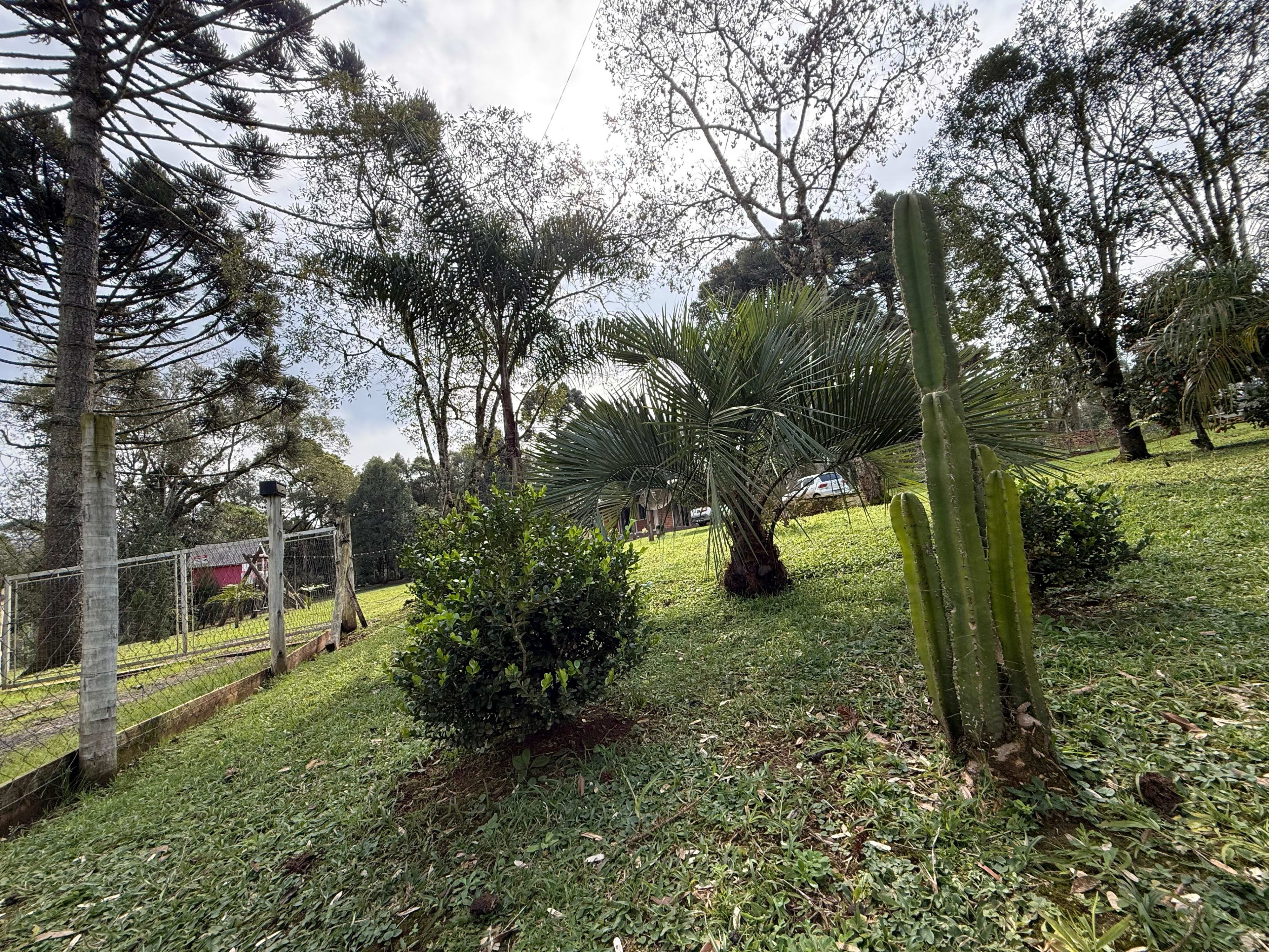 Chácara na Floresta! — foto 17