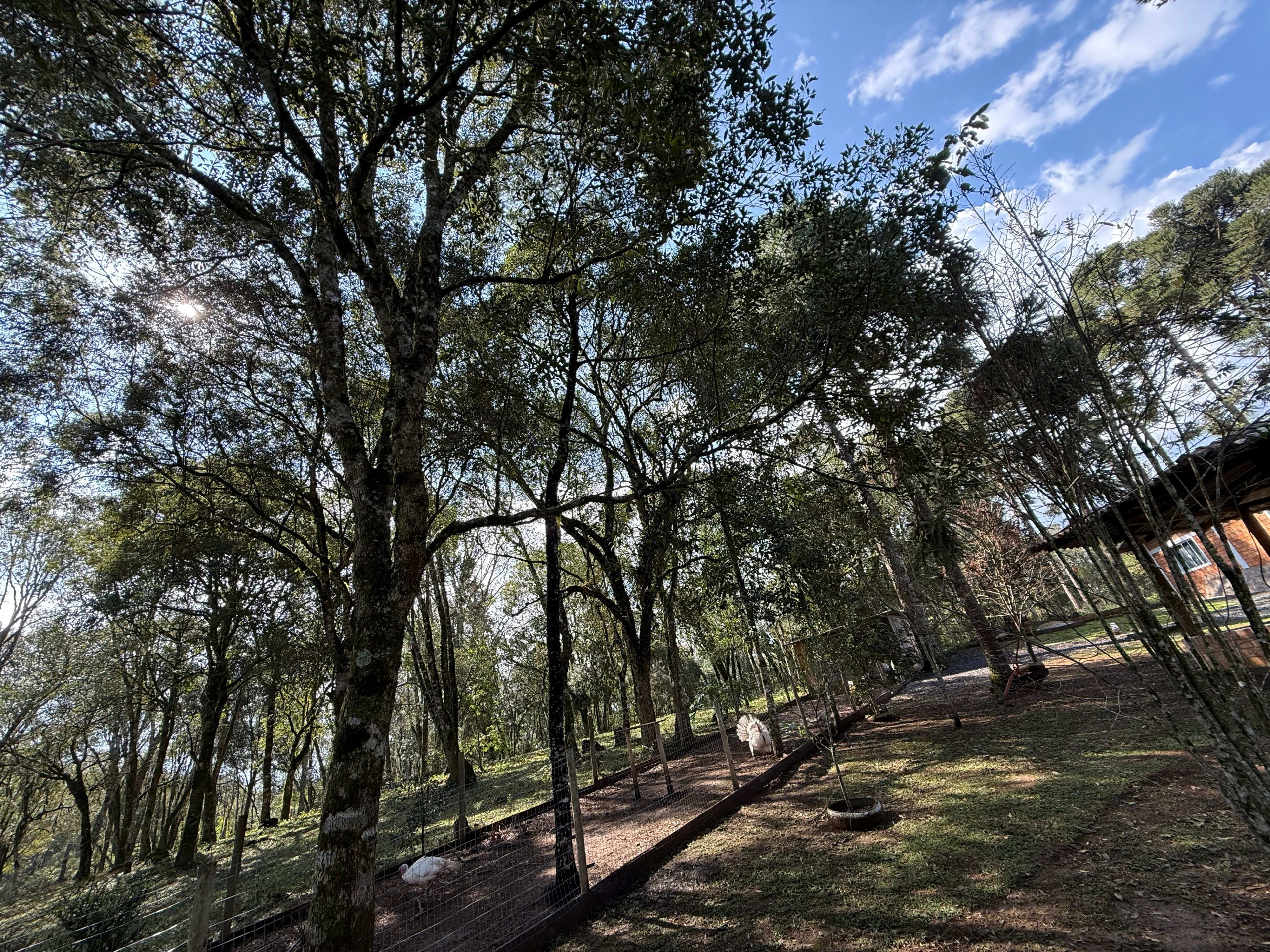 Chácara na Floresta! — foto 20