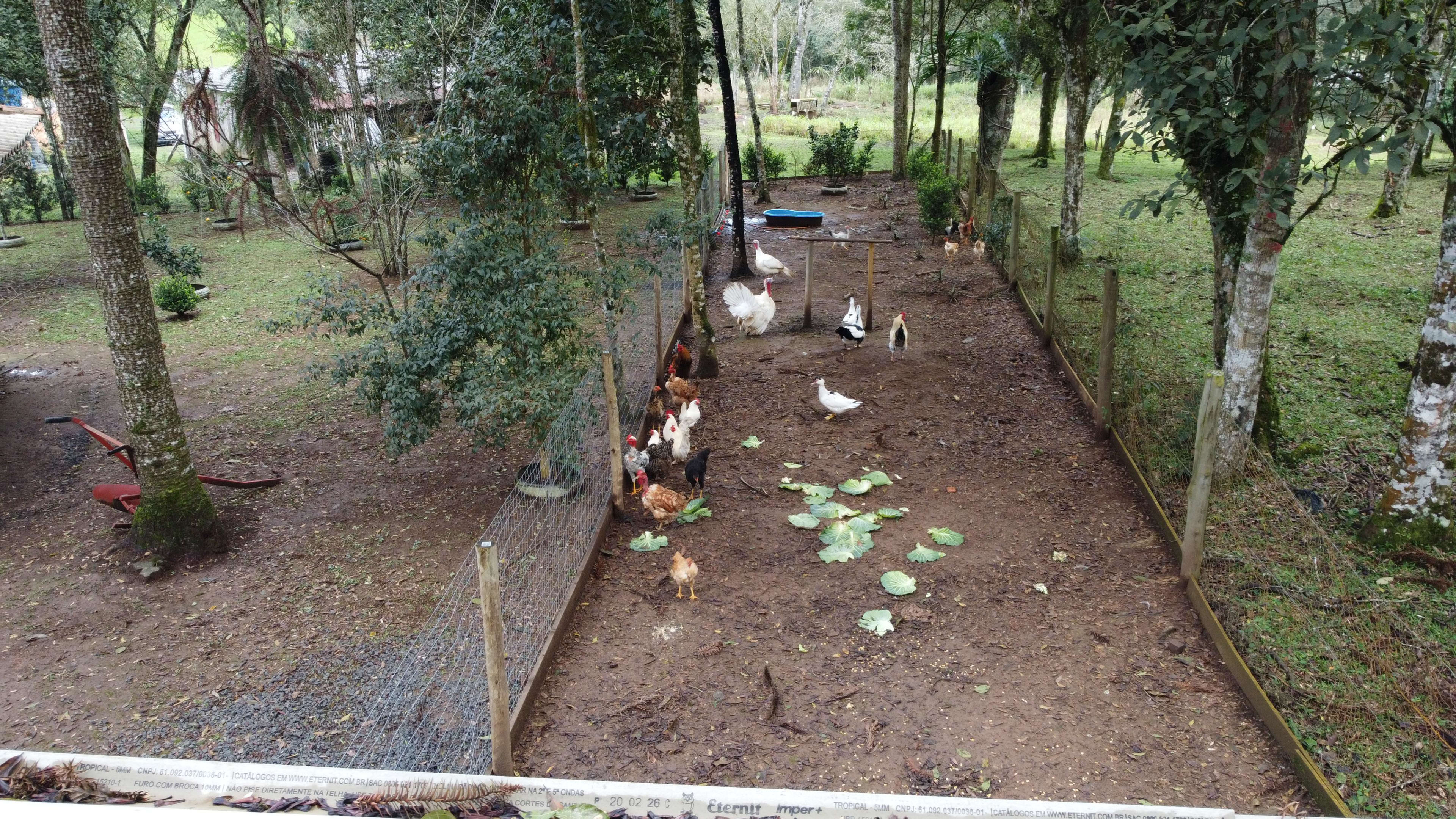 Chácara na Floresta! — foto 21
