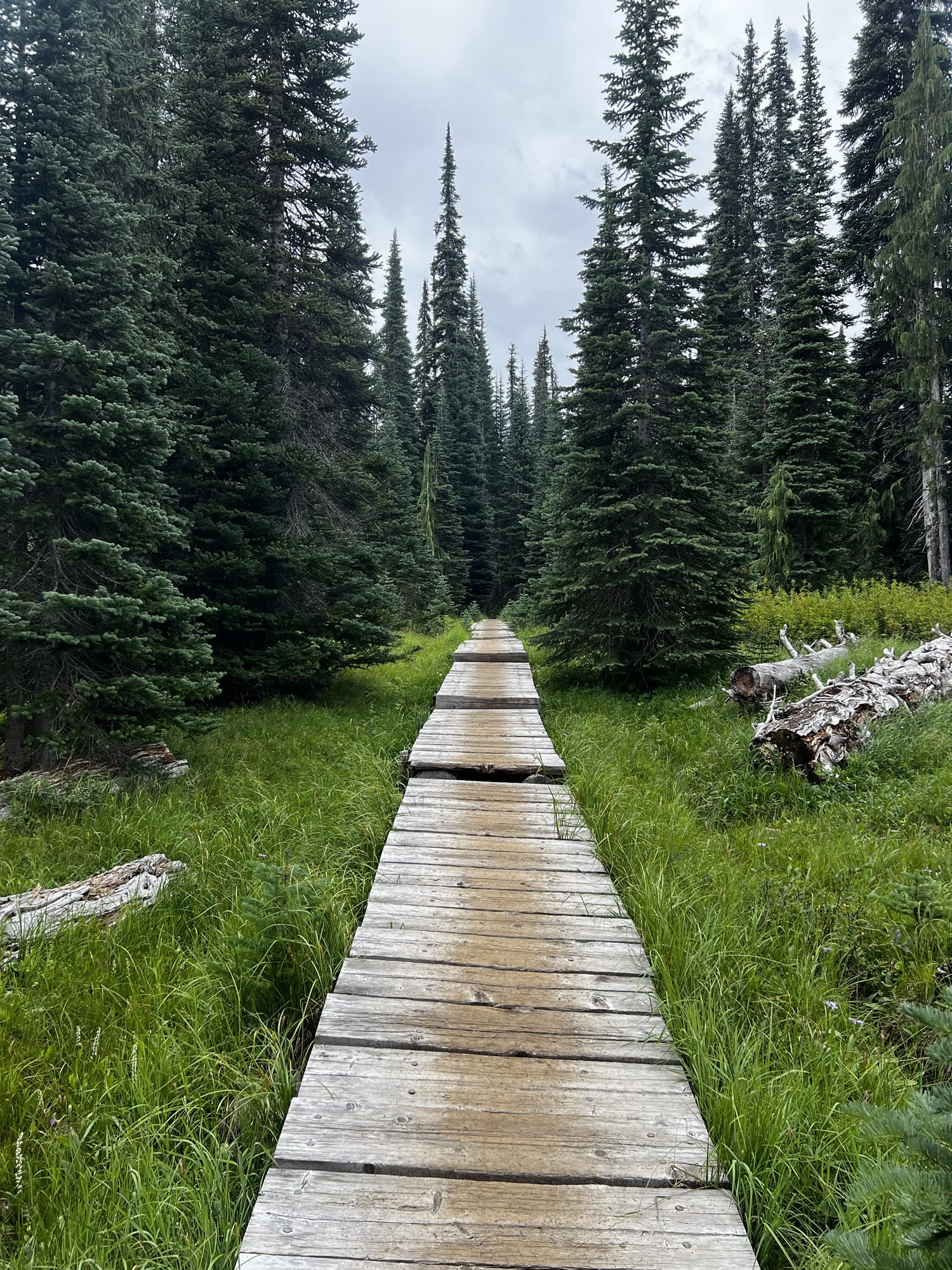 PCT Day 131 - The End