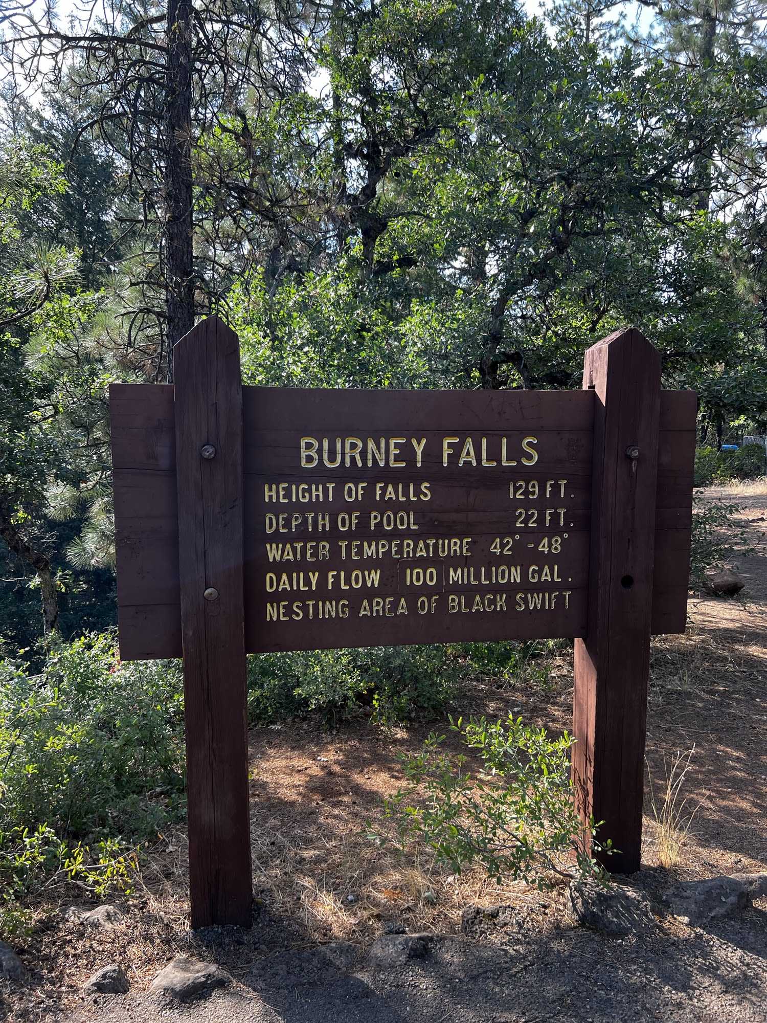 PCT Day 100