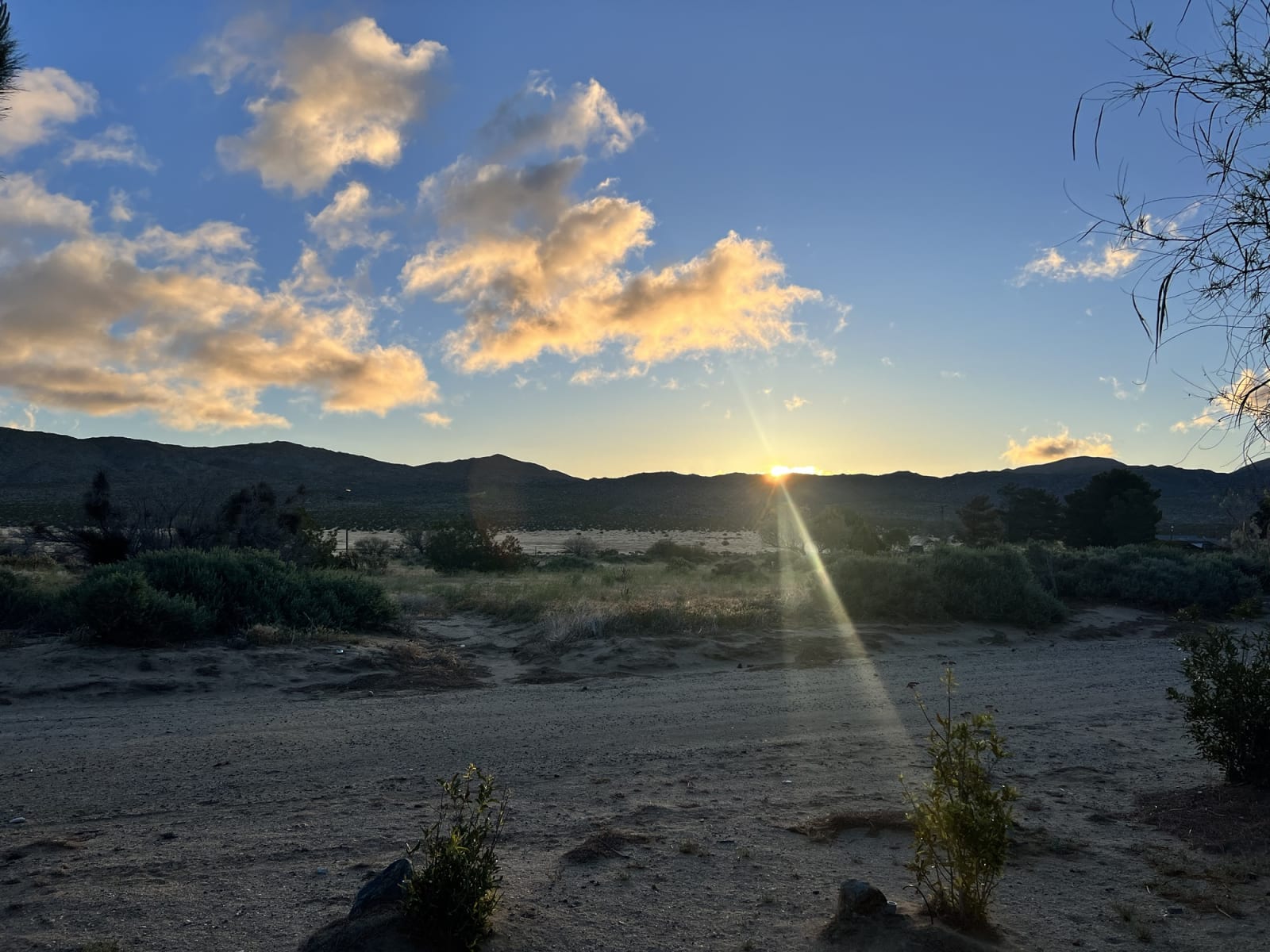 PCT Day 8