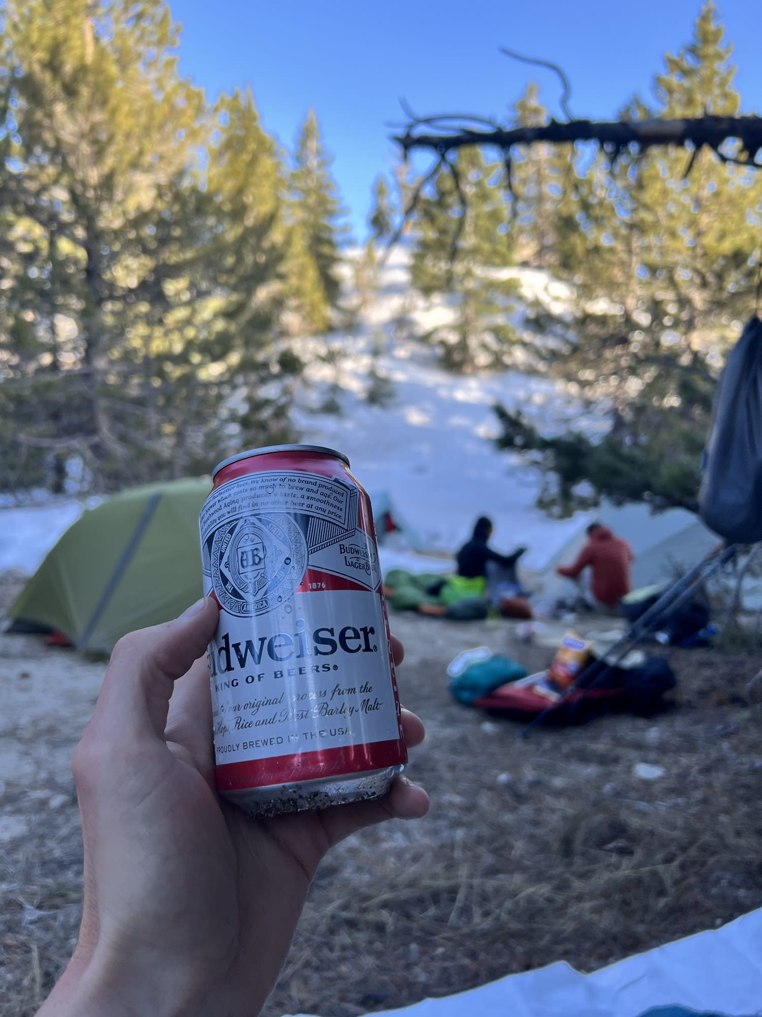 PCT Day 15
