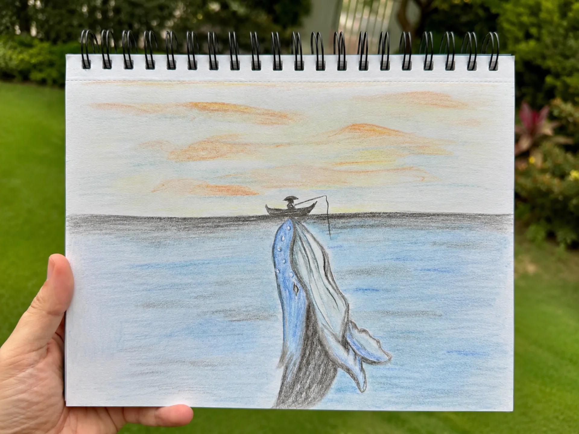 Sketches