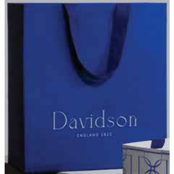 blue paper gift bag