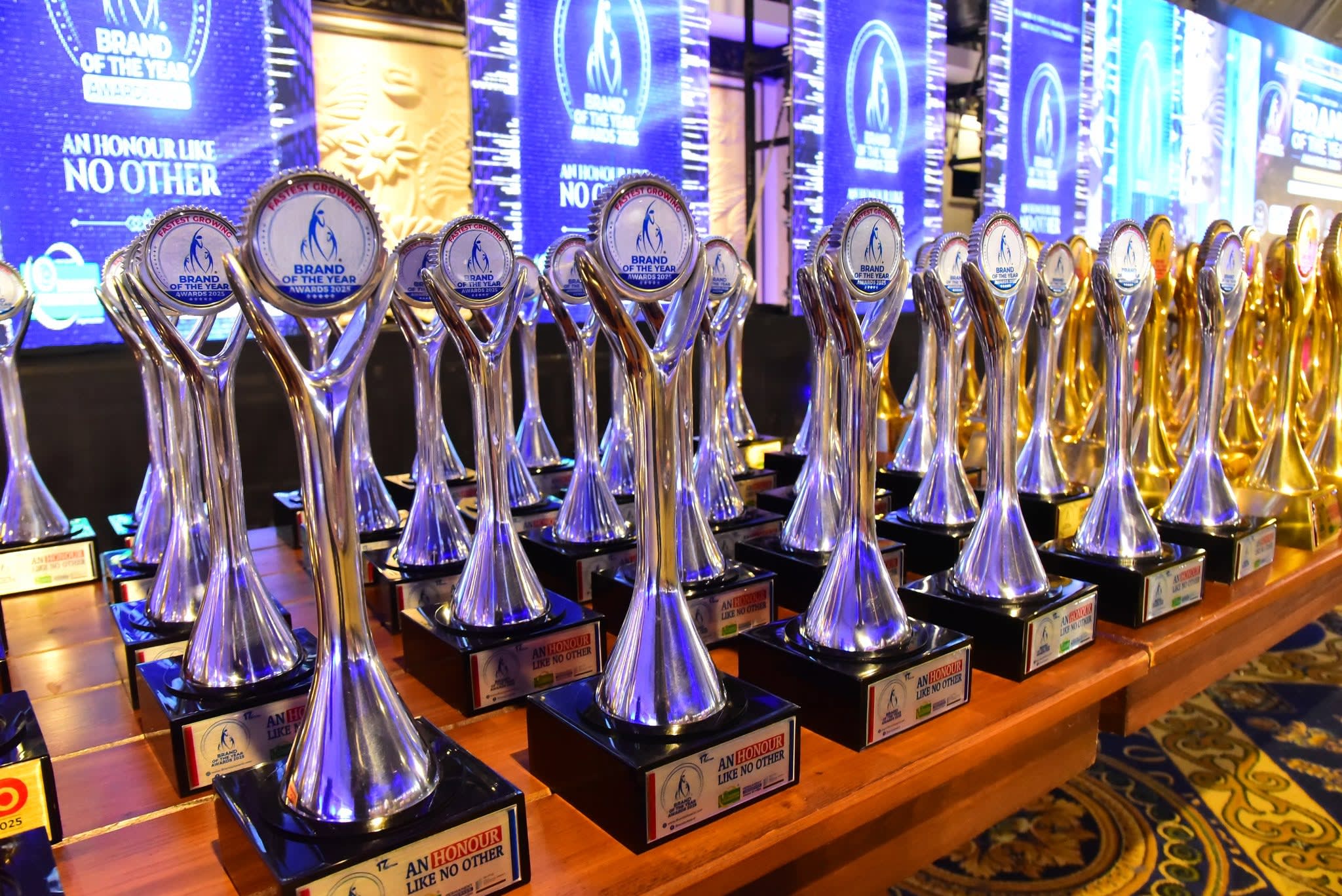 Brand of the Year Awards 2025 (Karachi) - Ceremony Highlight 186